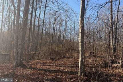 Lot 5, 34.53 Acres LICK CREEK