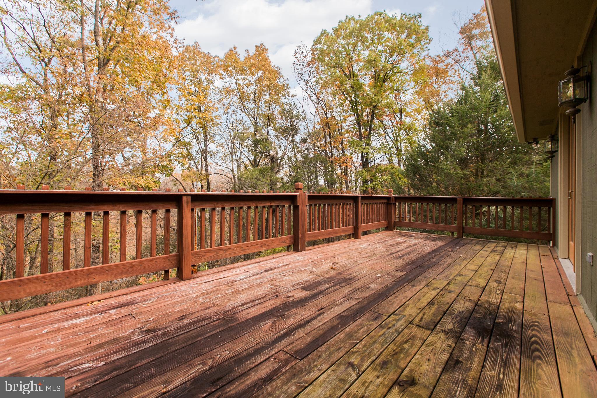 ALBEMARLE - Residential