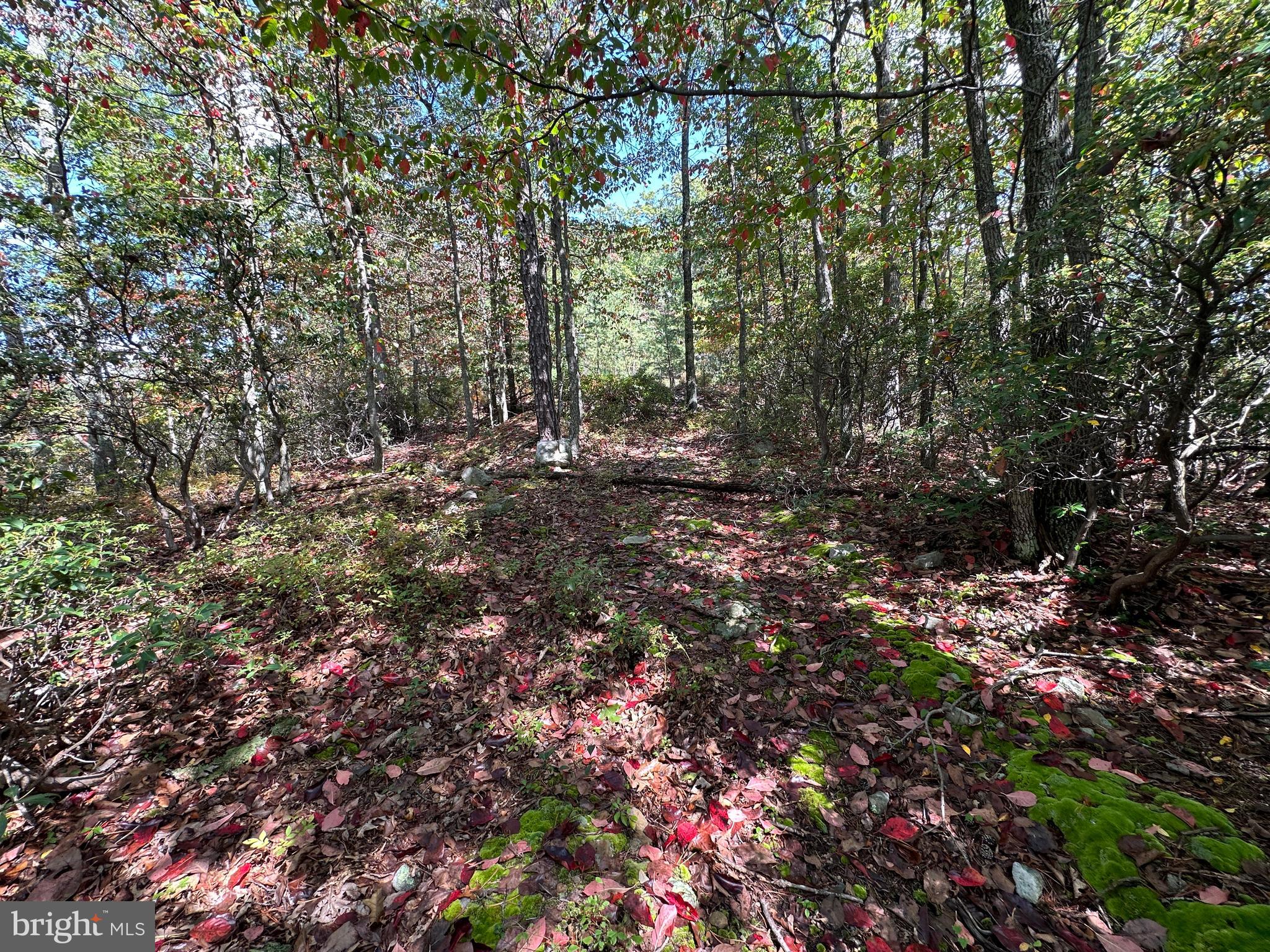 LOST RIVER BLUFFS - Land