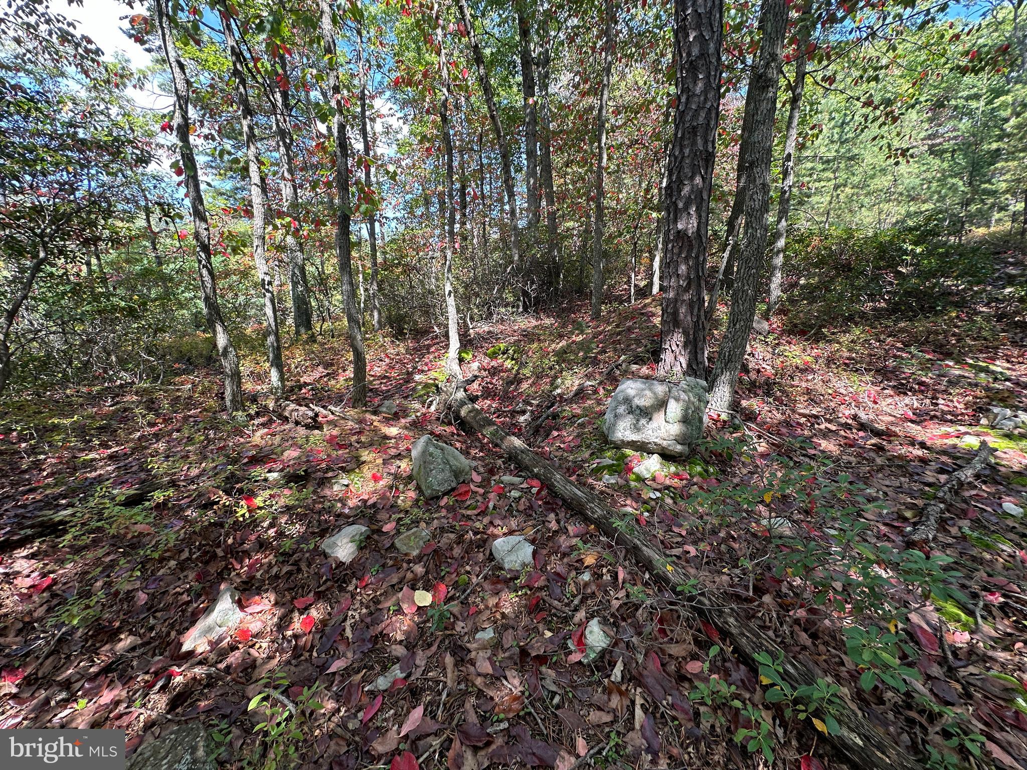 LOST RIVER BLUFFS - Land