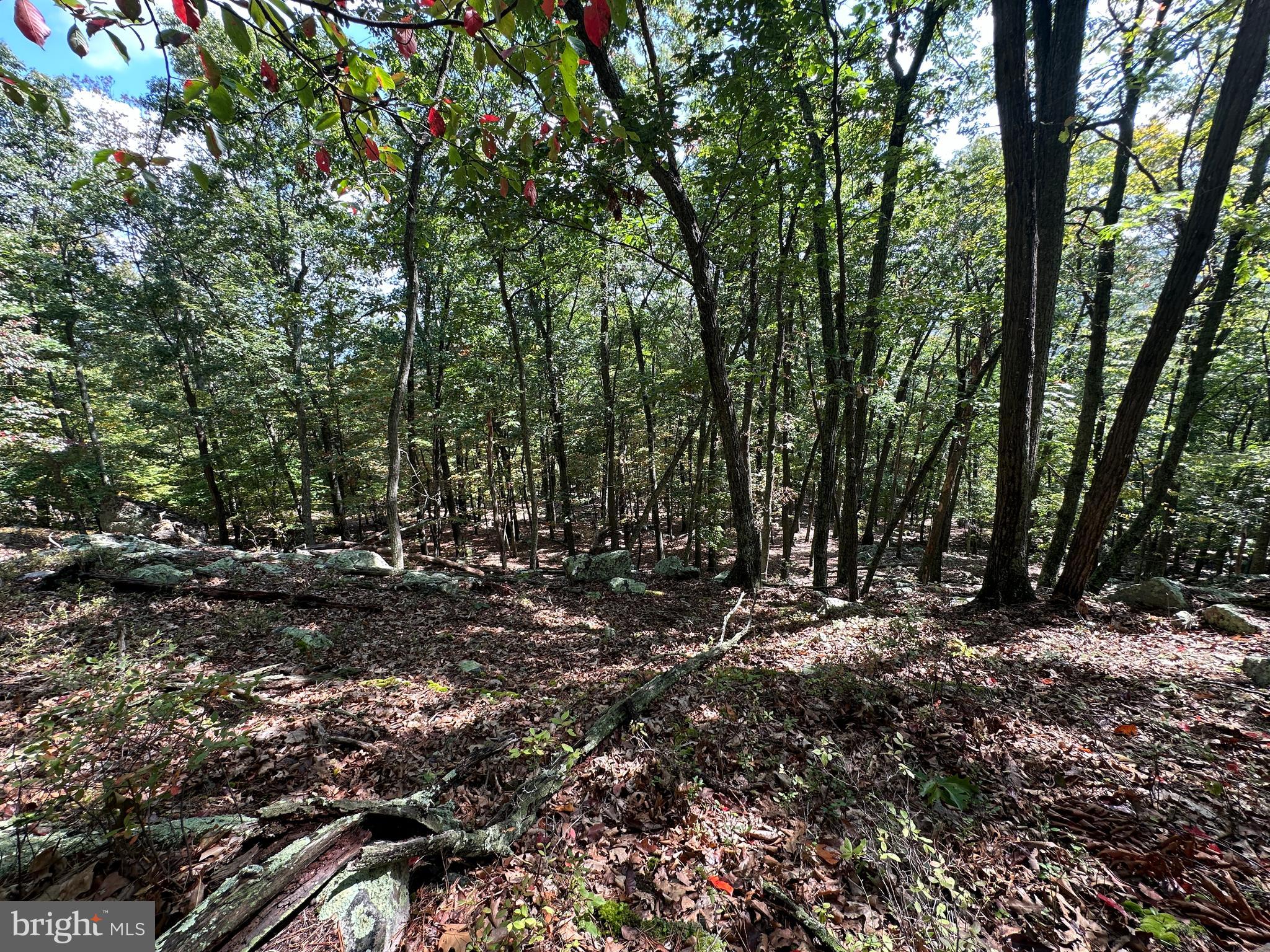 LOST RIVER BLUFFS - Land