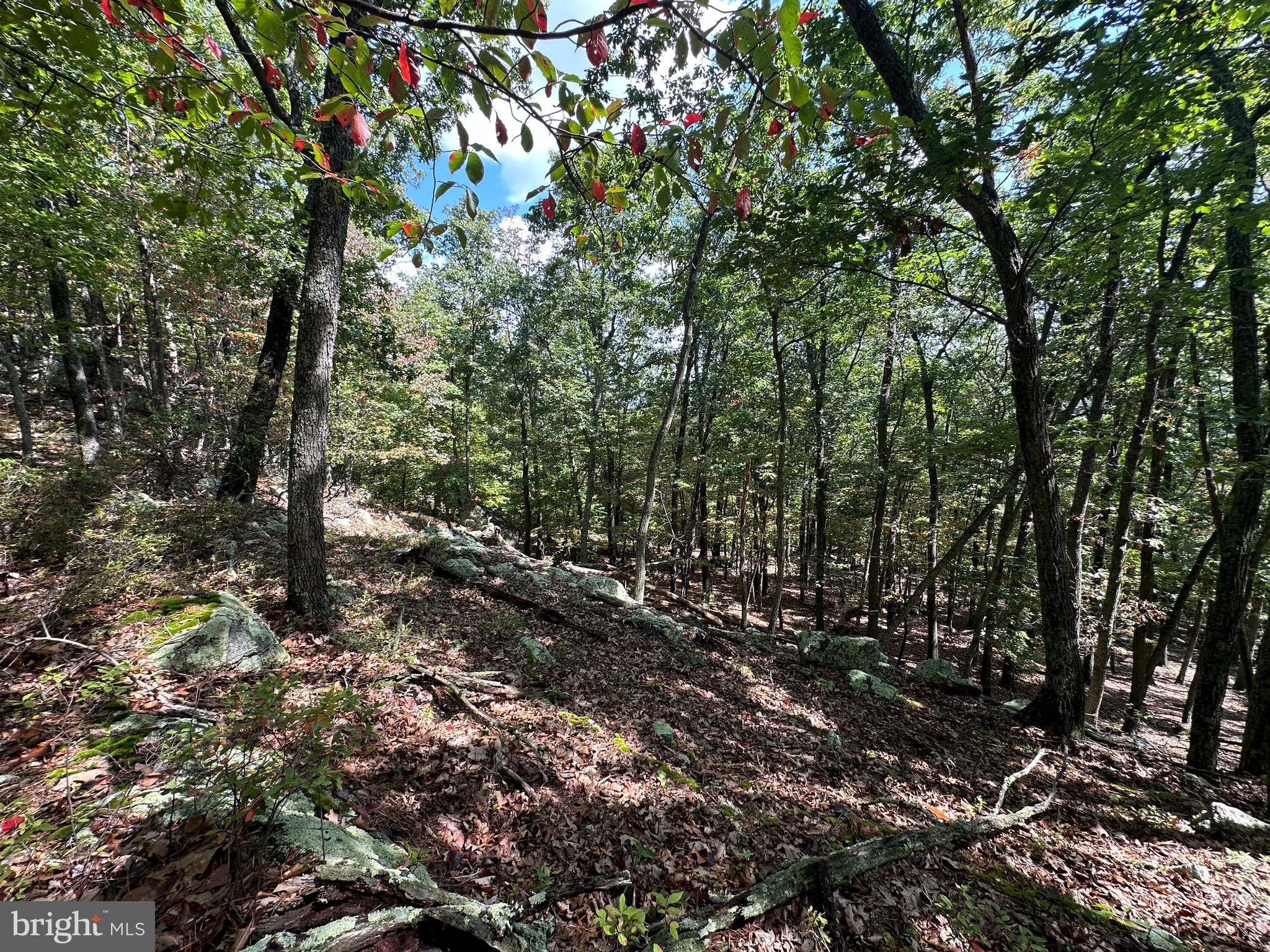LOST RIVER BLUFFS - Land