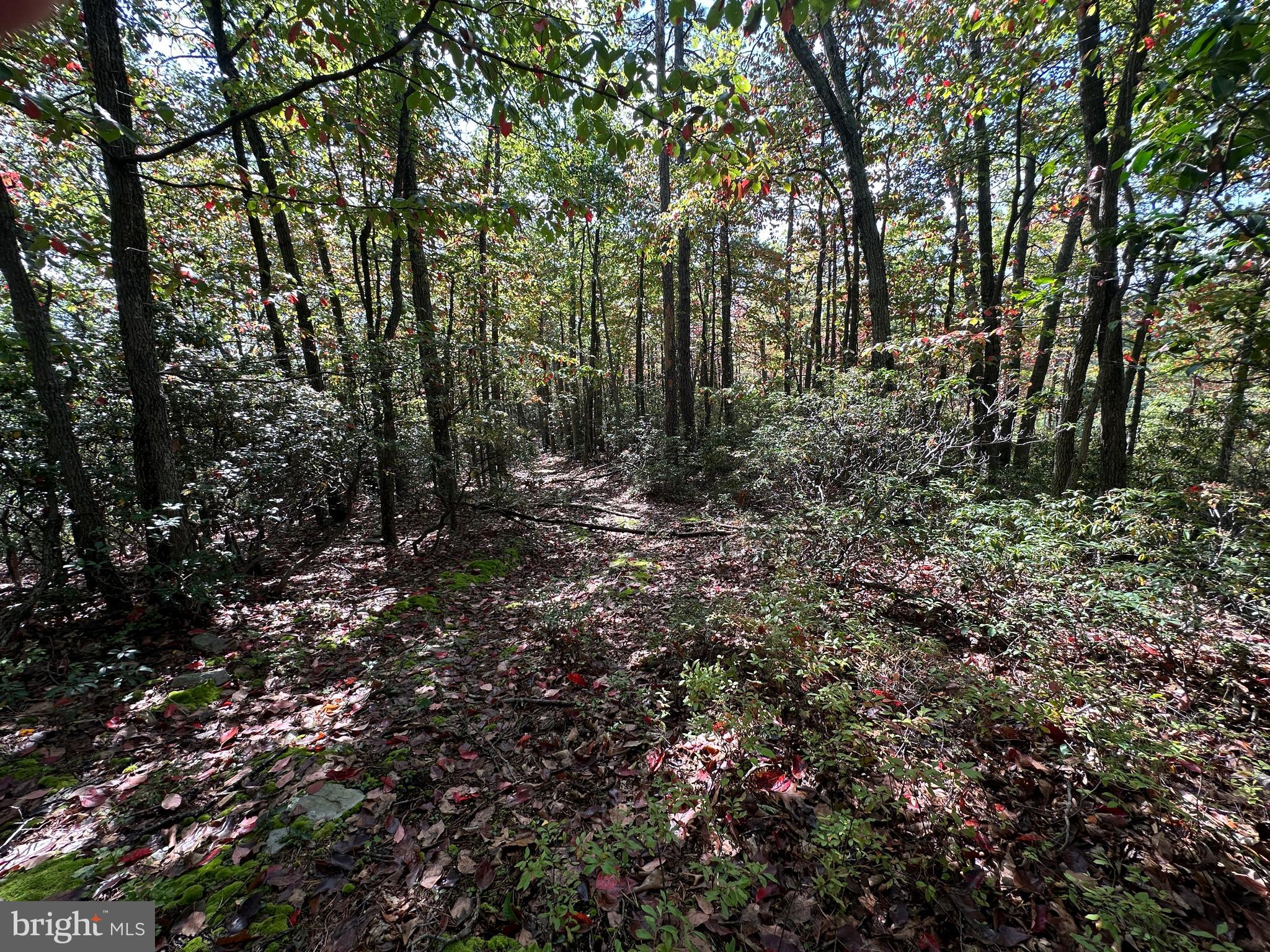 LOST RIVER BLUFFS - Land