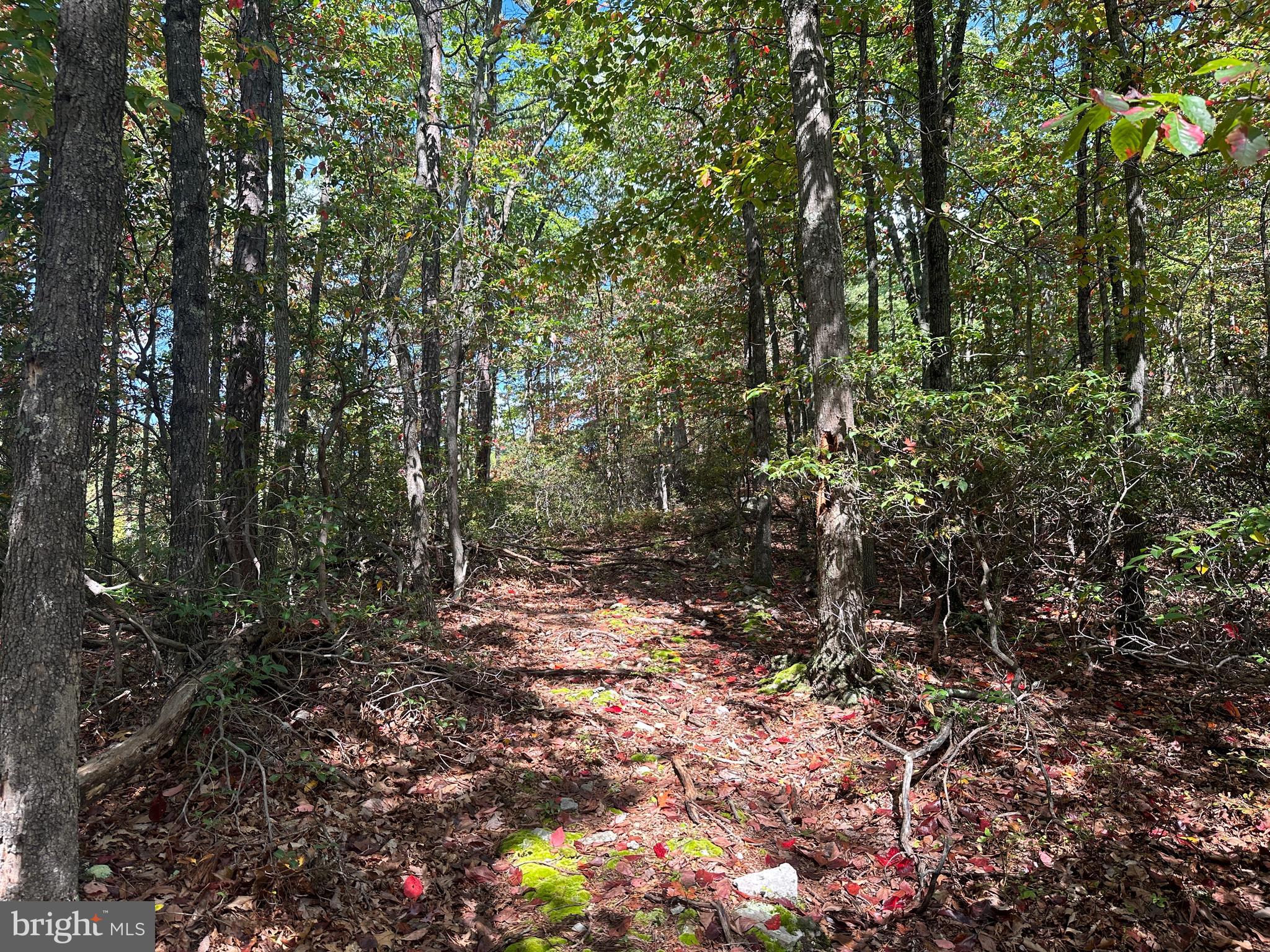 LOST RIVER BLUFFS - Land
