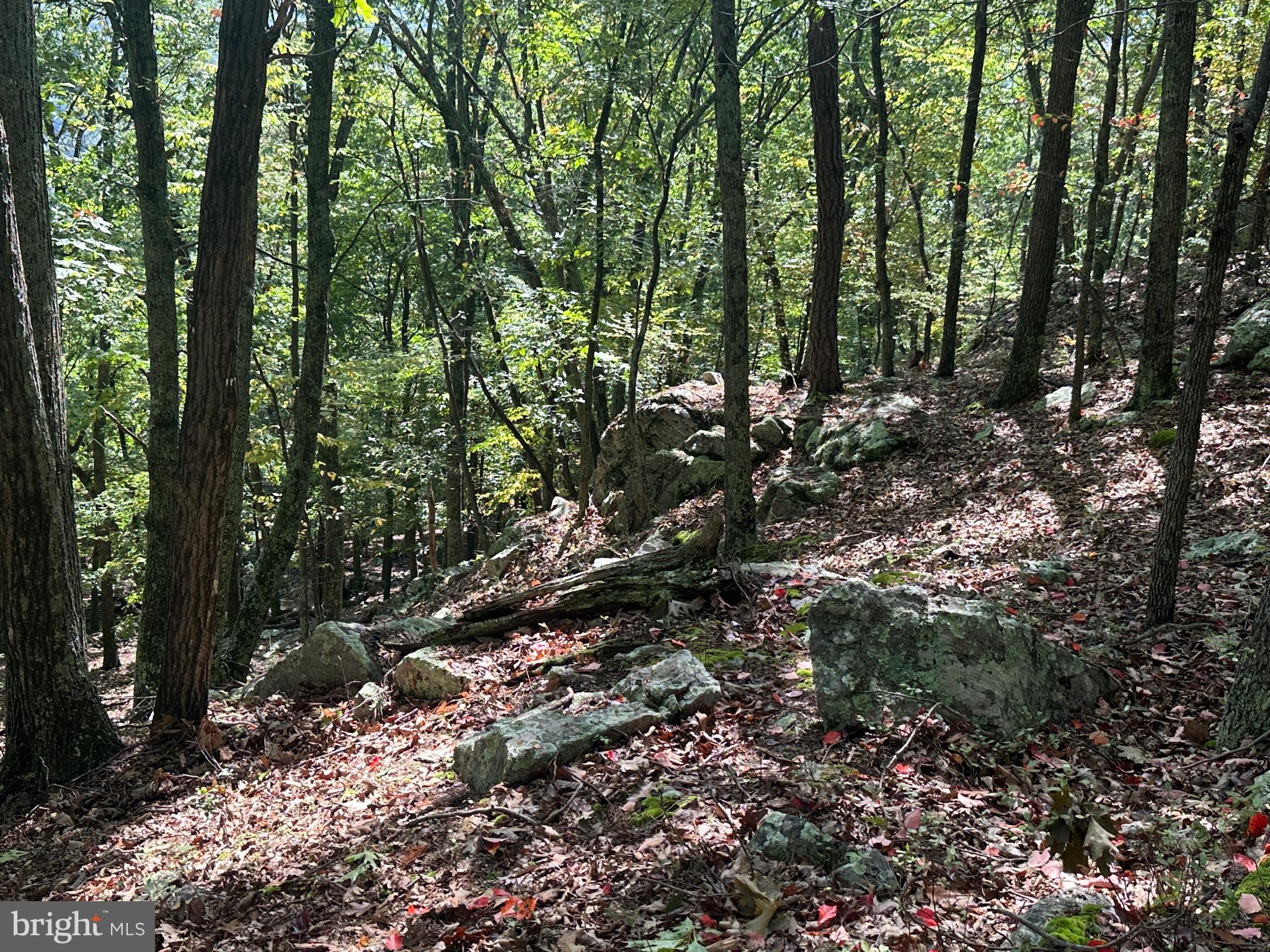 LOST RIVER BLUFFS - Land