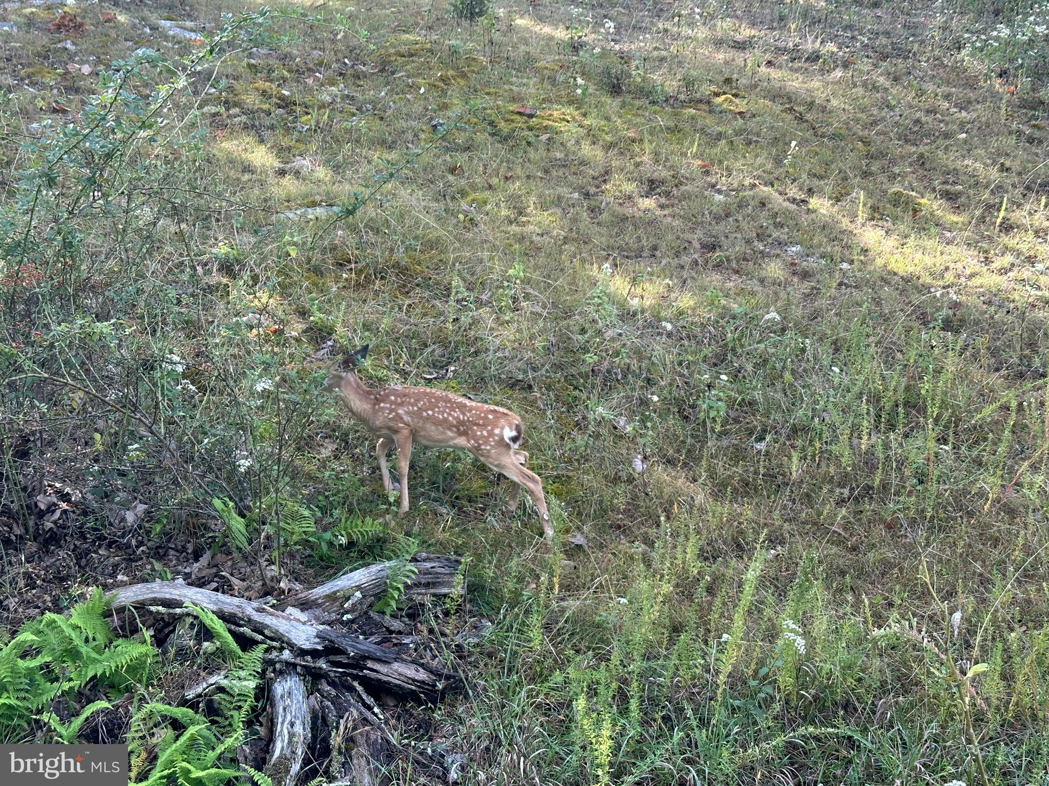 LOST RIVER BLUFFS - Land