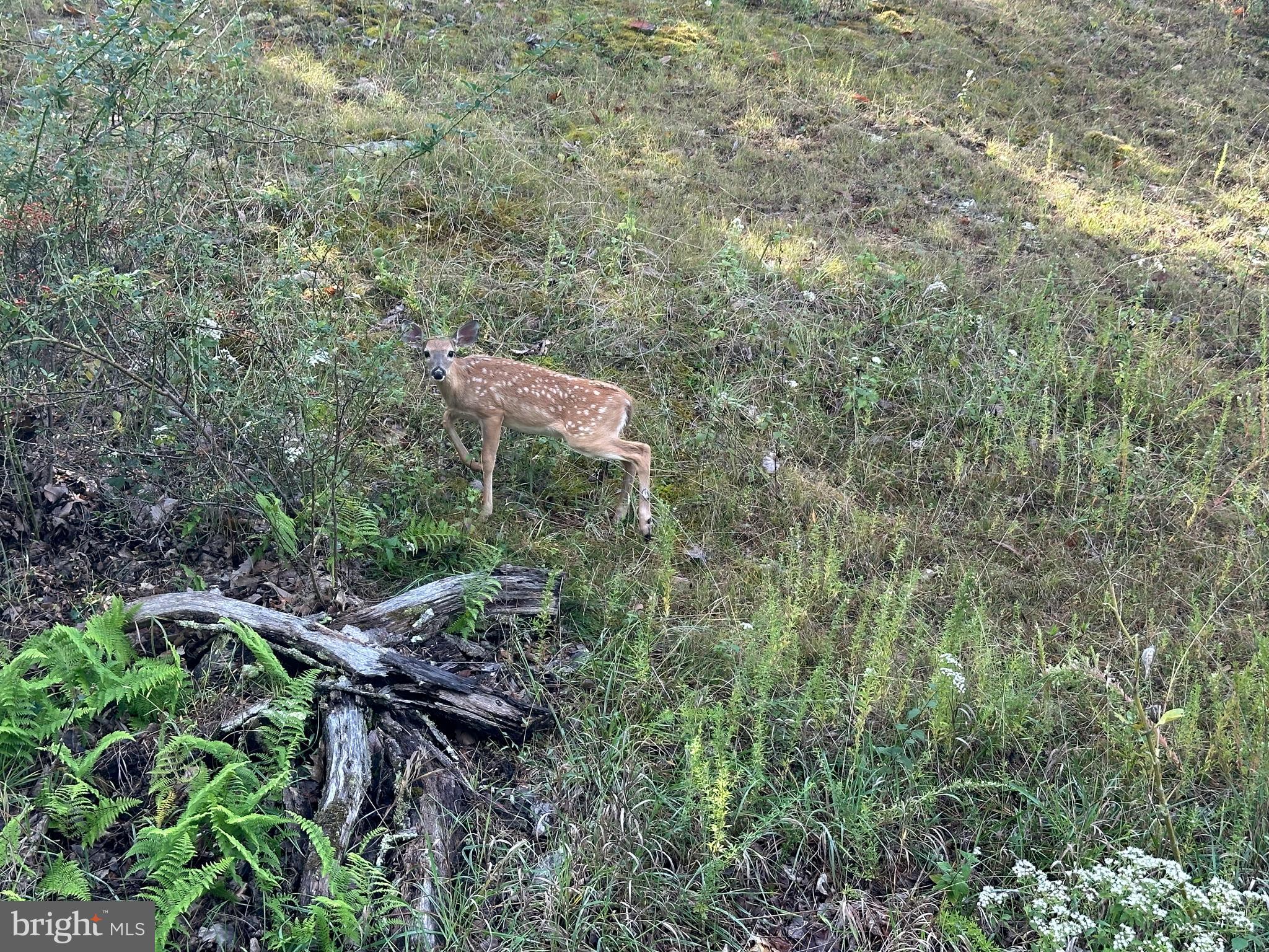 LOST RIVER BLUFFS - Land