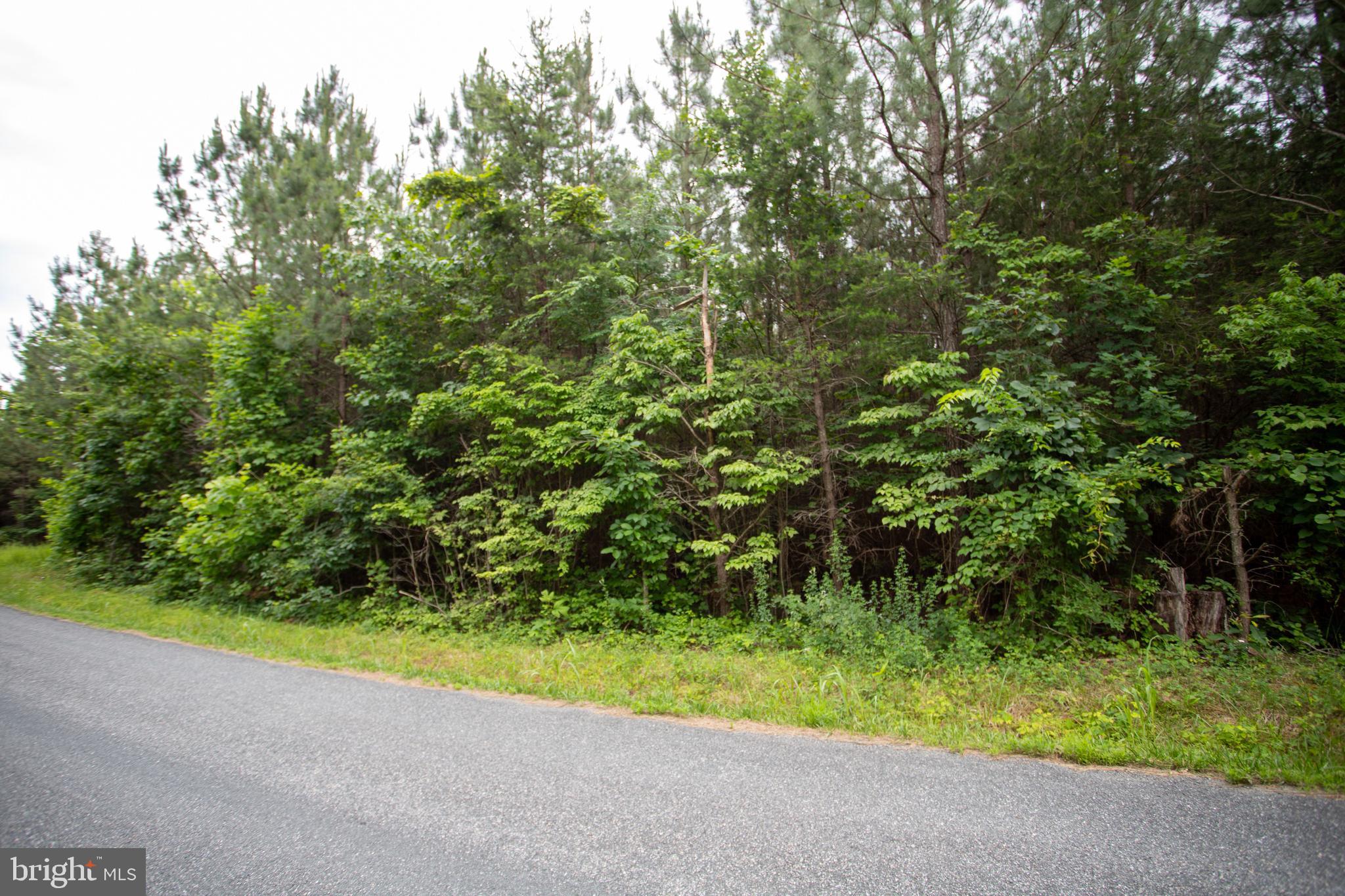 TBD TRENTS CEMETERY ROAD LOT 6