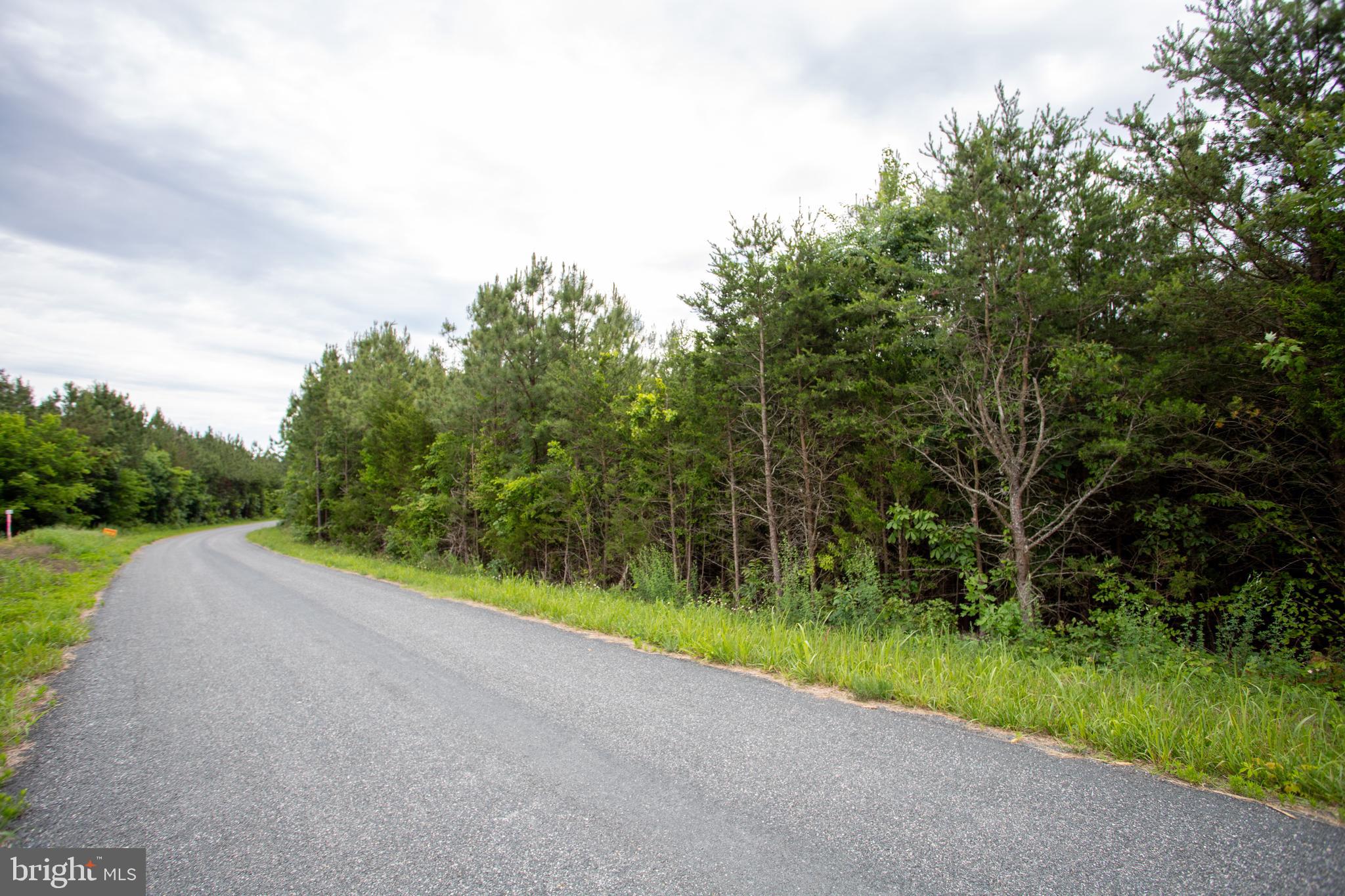 TBD TRENTS CEMETERY ROAD LOT 6