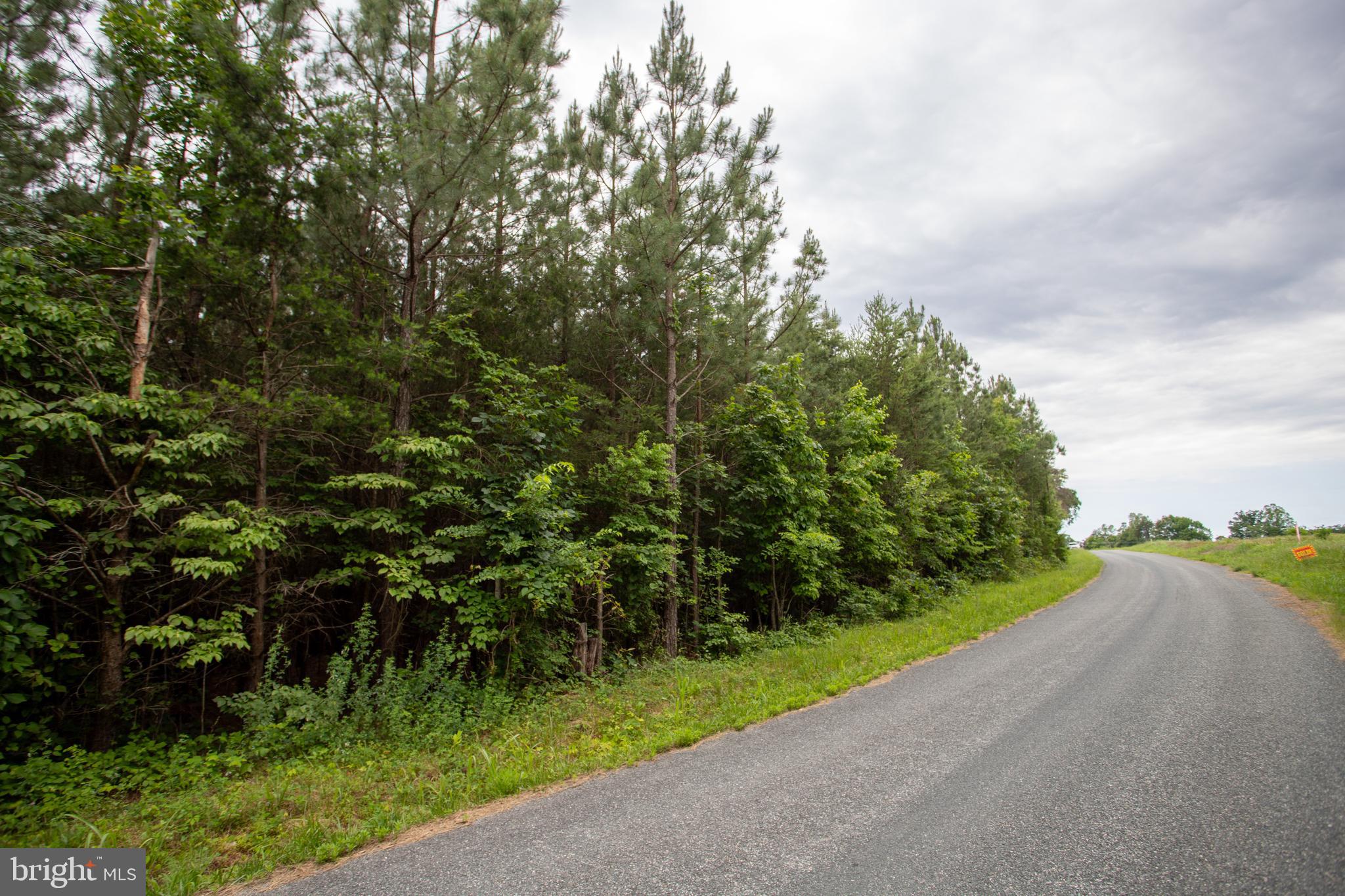 TBD TRENTS CEMETERY ROAD LOT 6