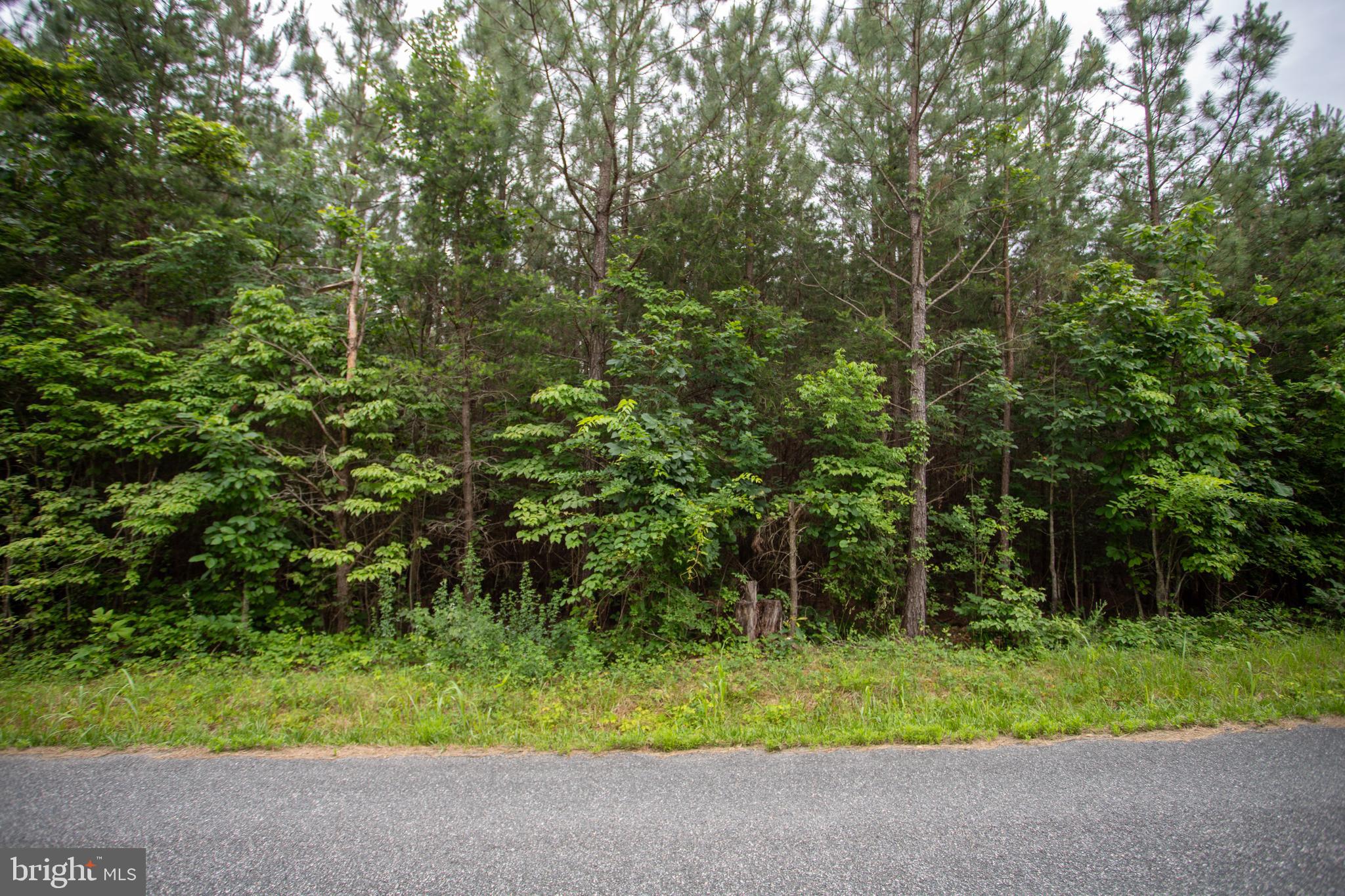 TBD TRENTS CEMETERY ROAD LOT 6