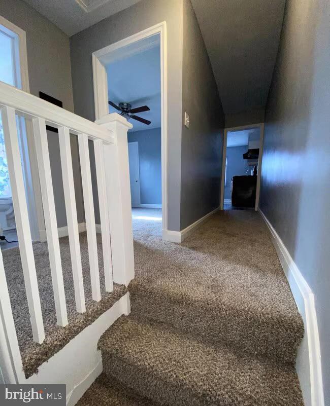 BELAIR-EDISON - Residential Lease