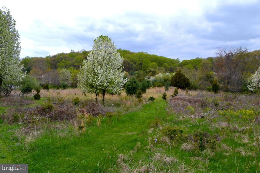 Rare opportunity to build a one of a kind dream home on one of the last lots available. Large 5.02 acre level lot that will facilitate an easy build. Possible for owner to design and build. 4 gallon per minute well yield.