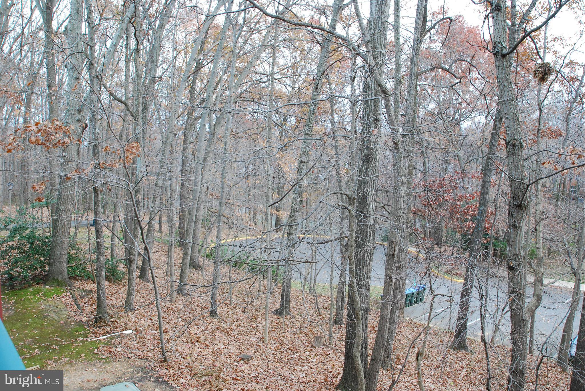 HUNTERS WOODS VILLAGE - Residential Lease