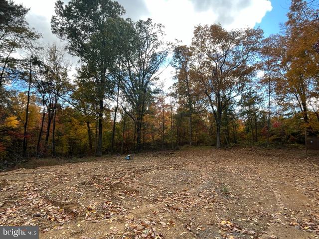 BELL HOLLOW ESTATES - Land