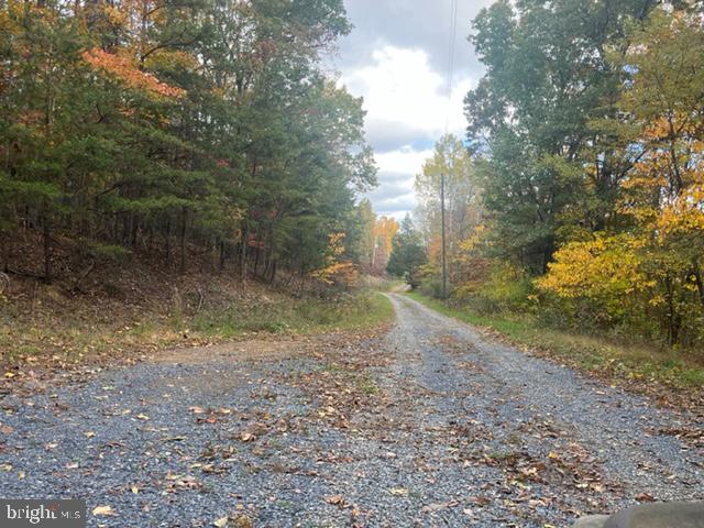 BELL HOLLOW ESTATES - Land