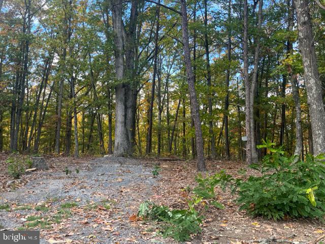 BELL HOLLOW ESTATES - Land