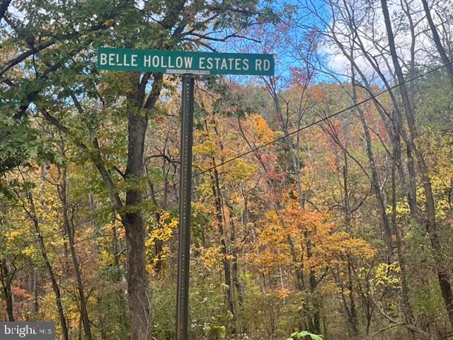 BELL HOLLOW ESTATES - Land