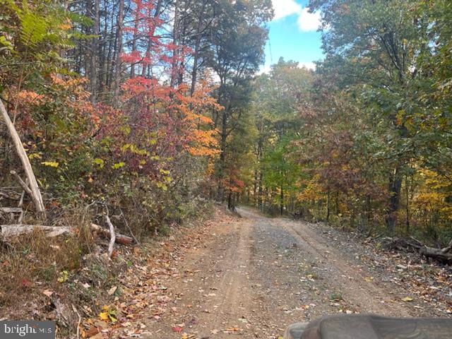 BELL HOLLOW ESTATES - Land