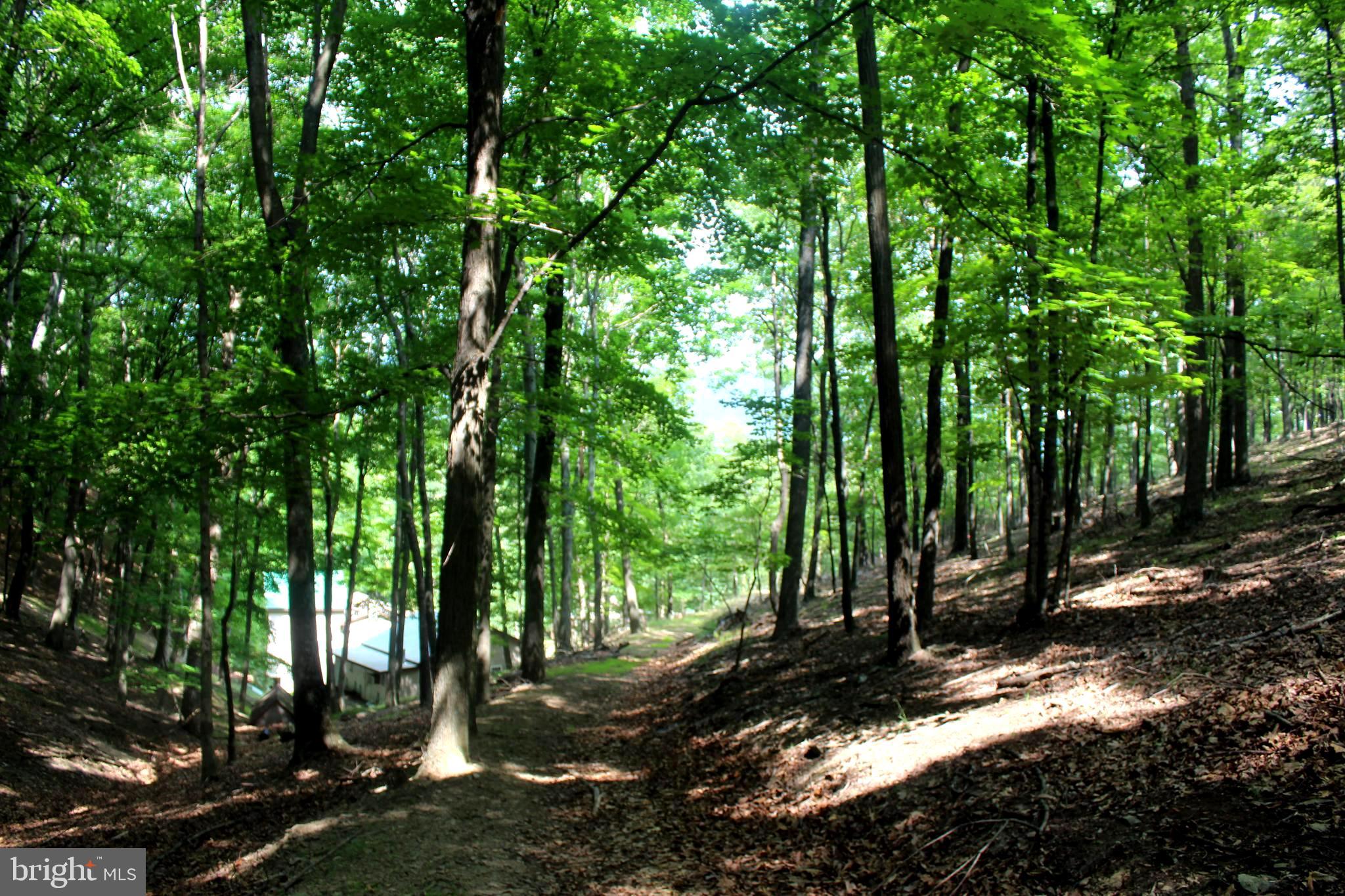 NONE-UNRESTRICTED - Residential