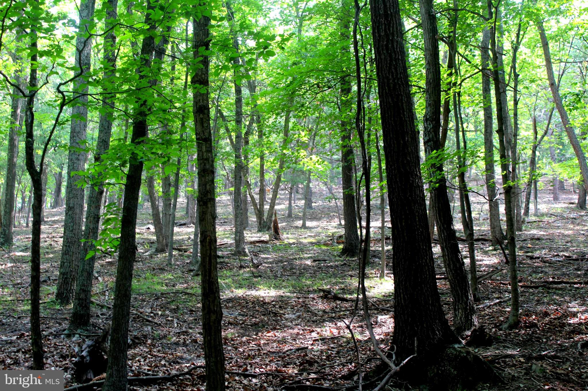 NONE-UNRESTRICTED - Residential