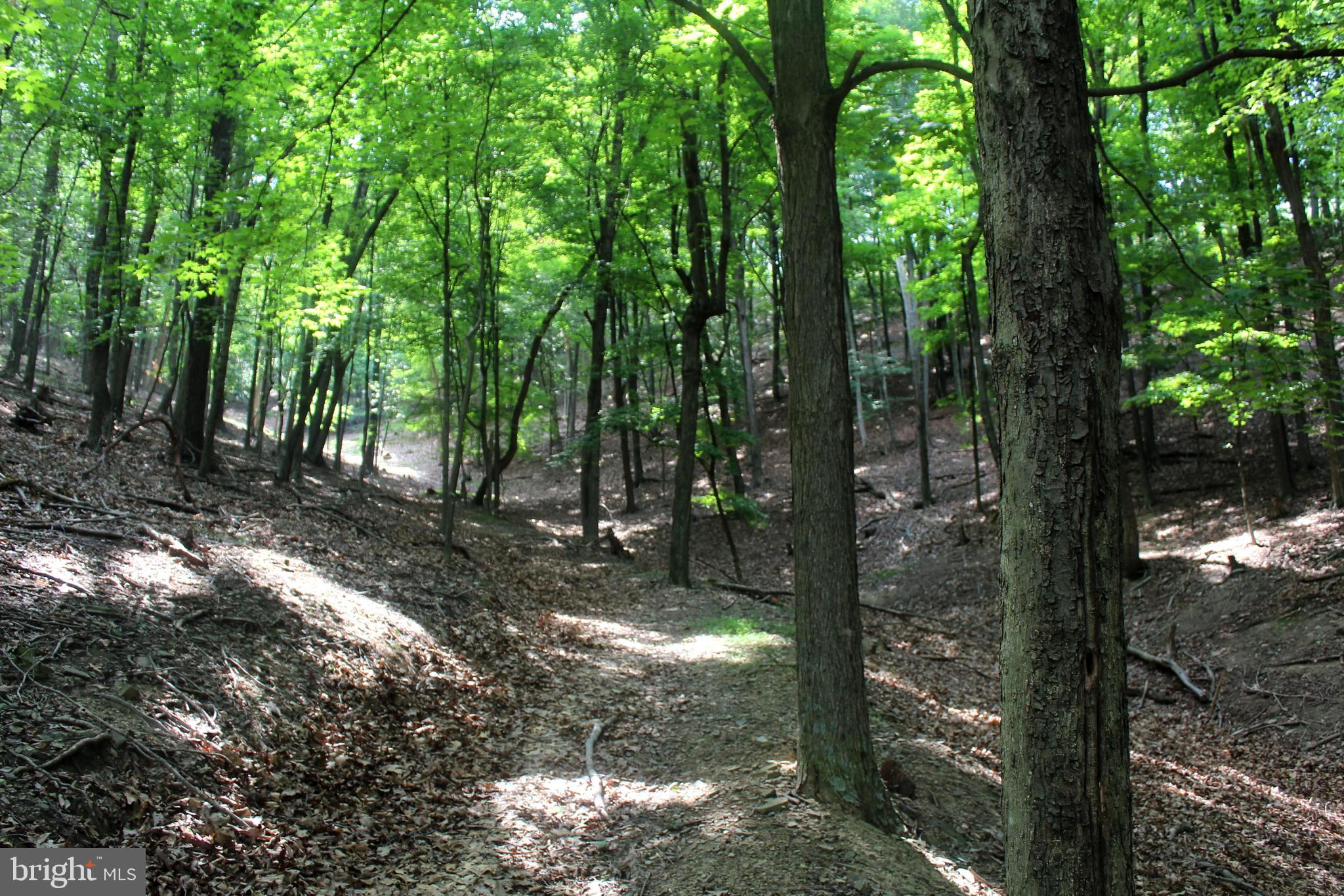 NONE-UNRESTRICTED - Residential