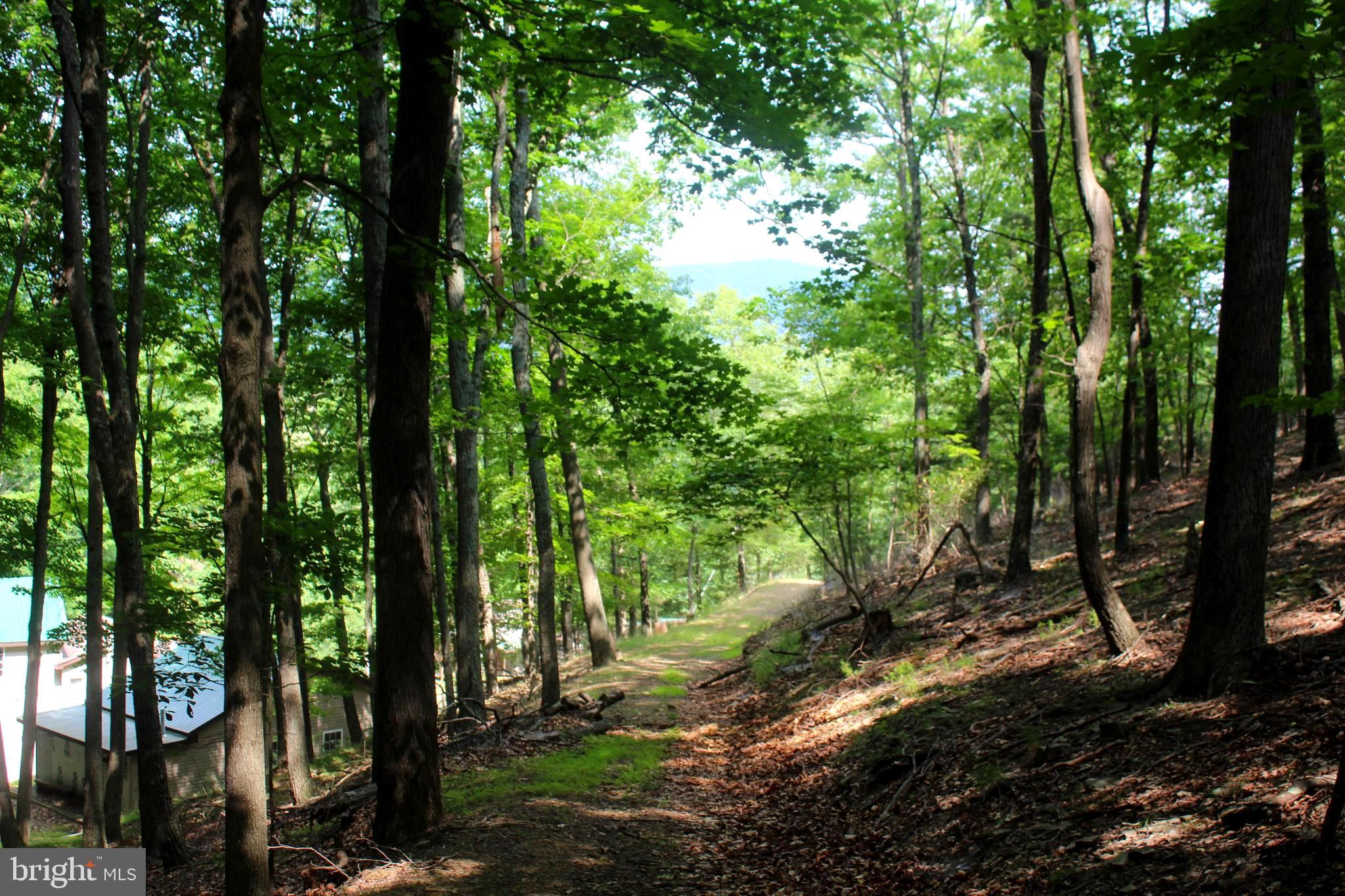 NONE-UNRESTRICTED - Residential