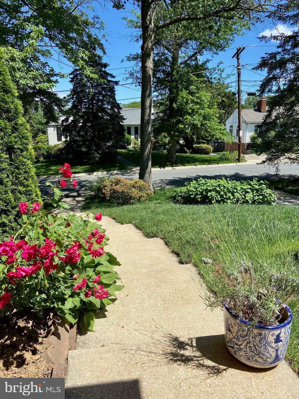 THE FOREST - Residential Lease