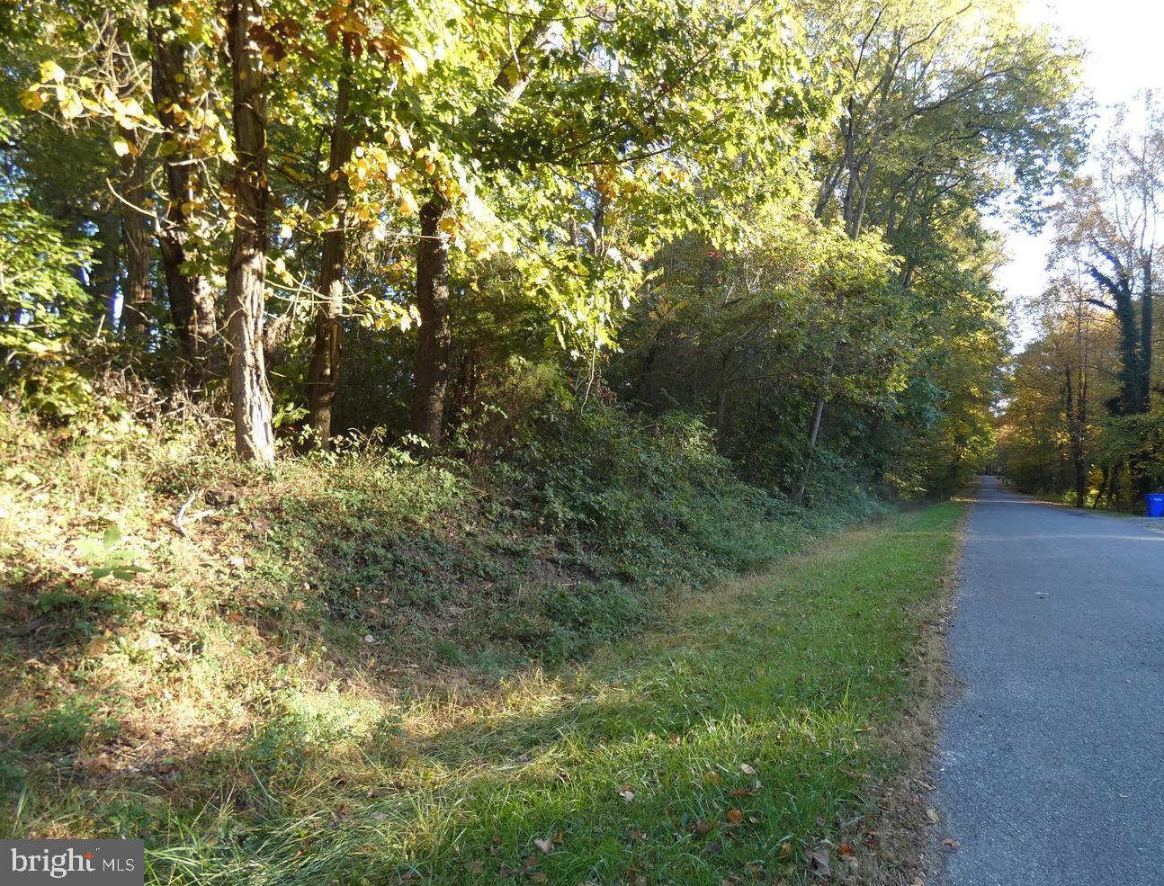 SANDPIPER ROAD