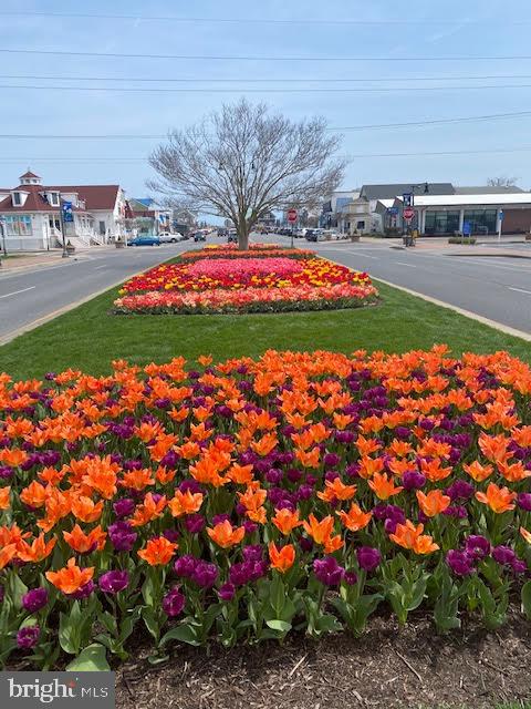 BETHANY PROPER TOWNHOMES - Residential