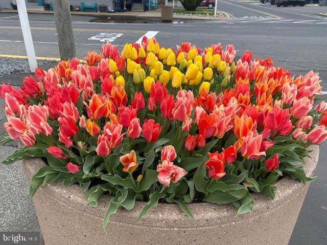 BETHANY PROPER TOWNHOMES - Residential