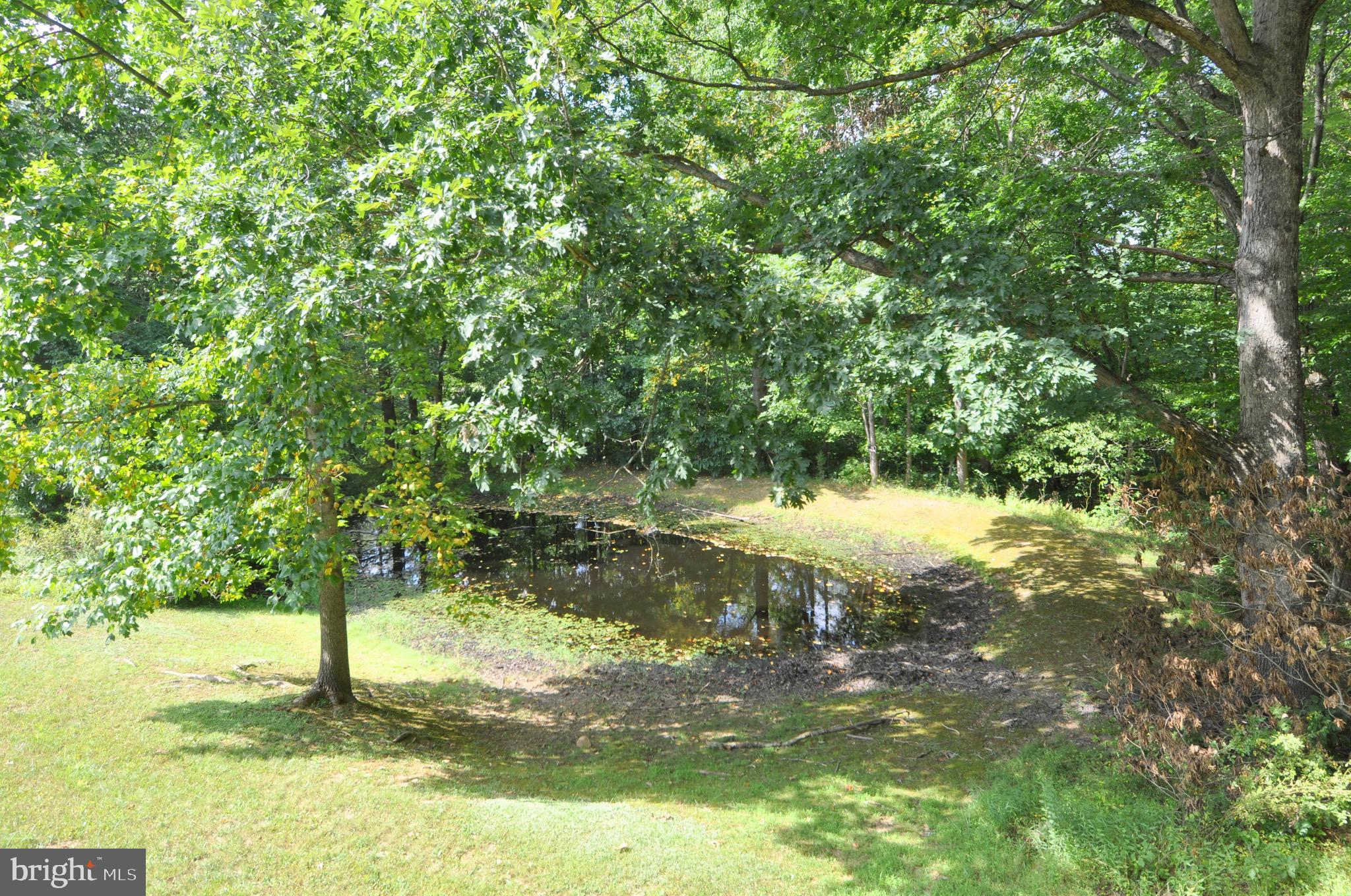 MAIDSTONE - Residential