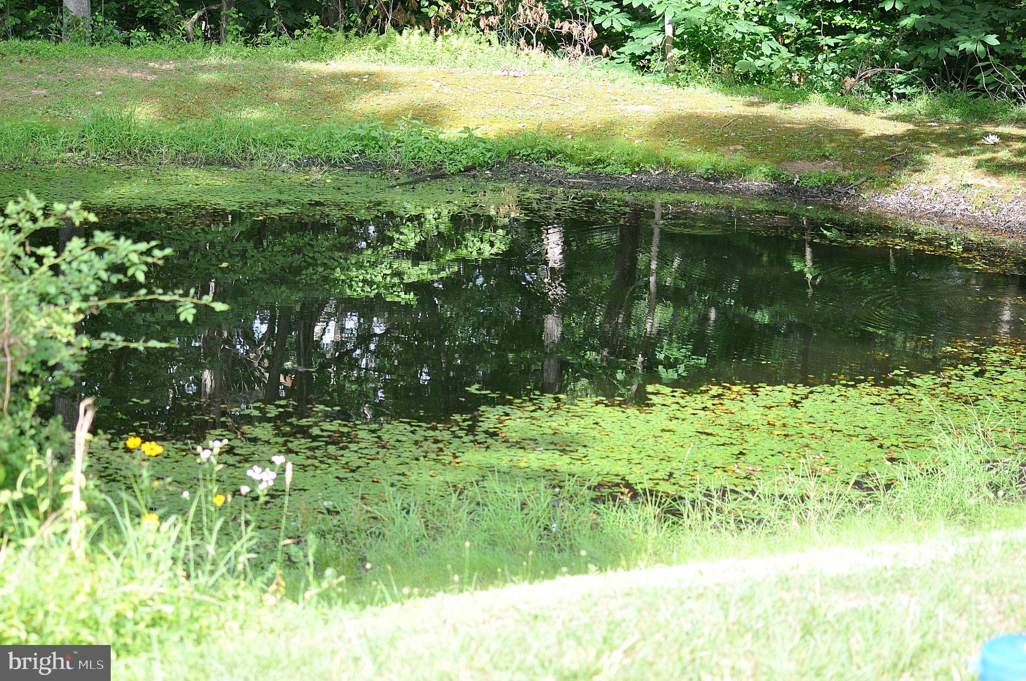 MAIDSTONE - Residential