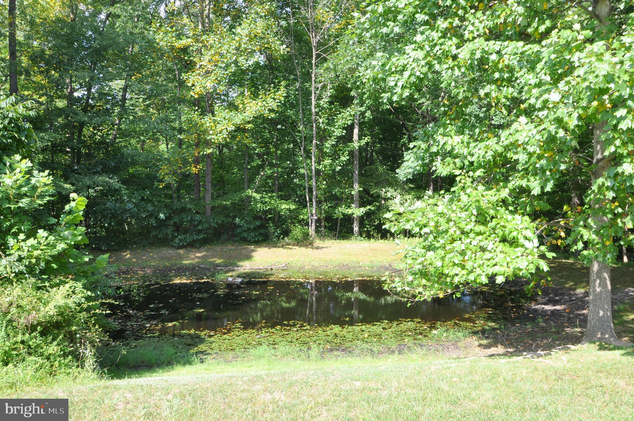 MAIDSTONE - Residential