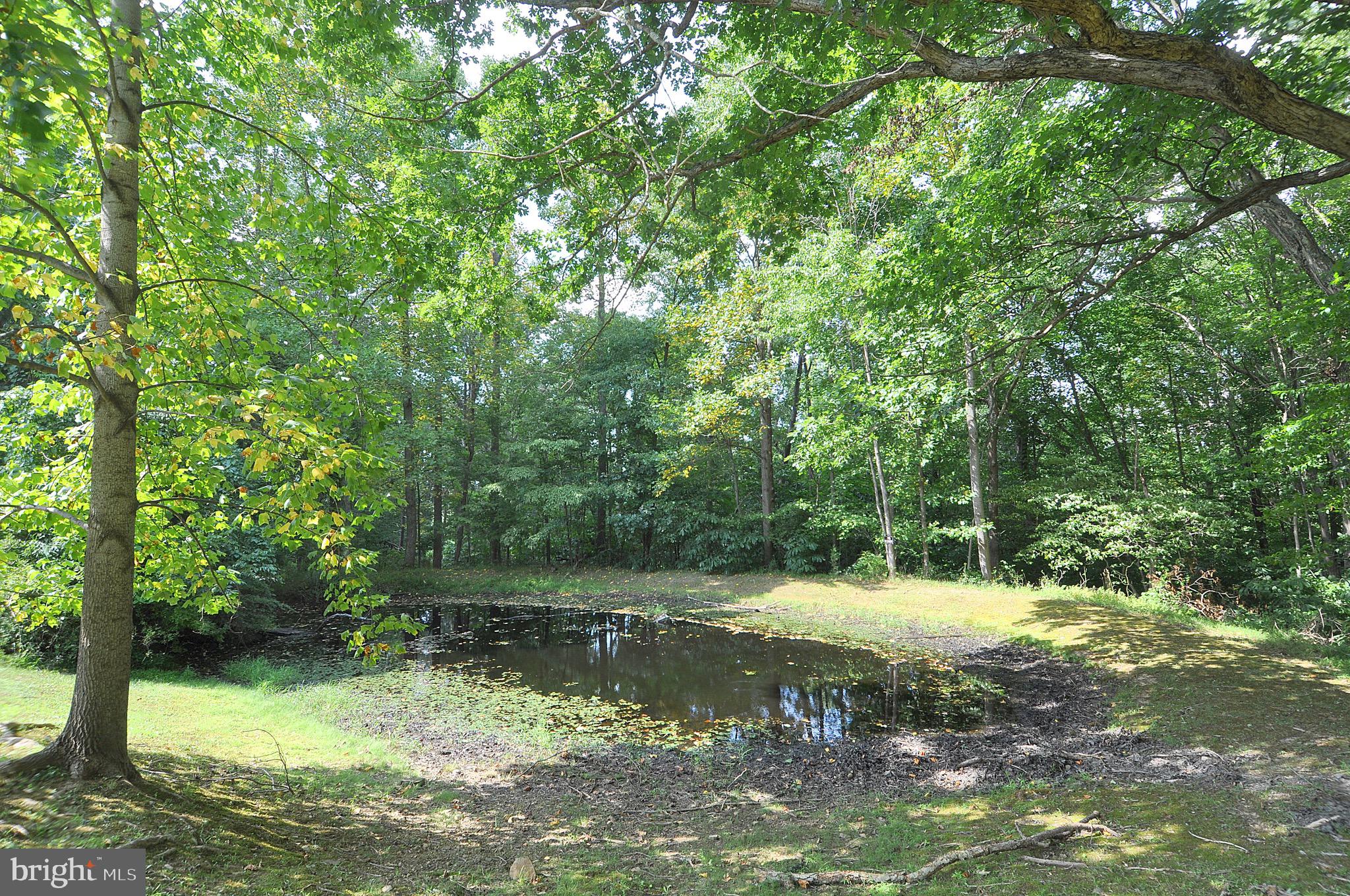 MAIDSTONE - Residential