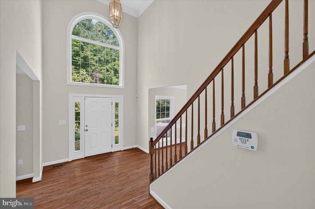 Photo of 14417 Nicholas Schar Way, CENTREVILLE, VA 20121 (MLS # VAFX2343314)