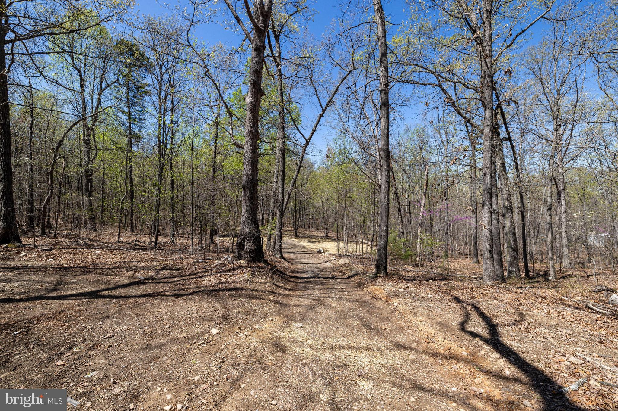 SHENANDOAH GAP - Land