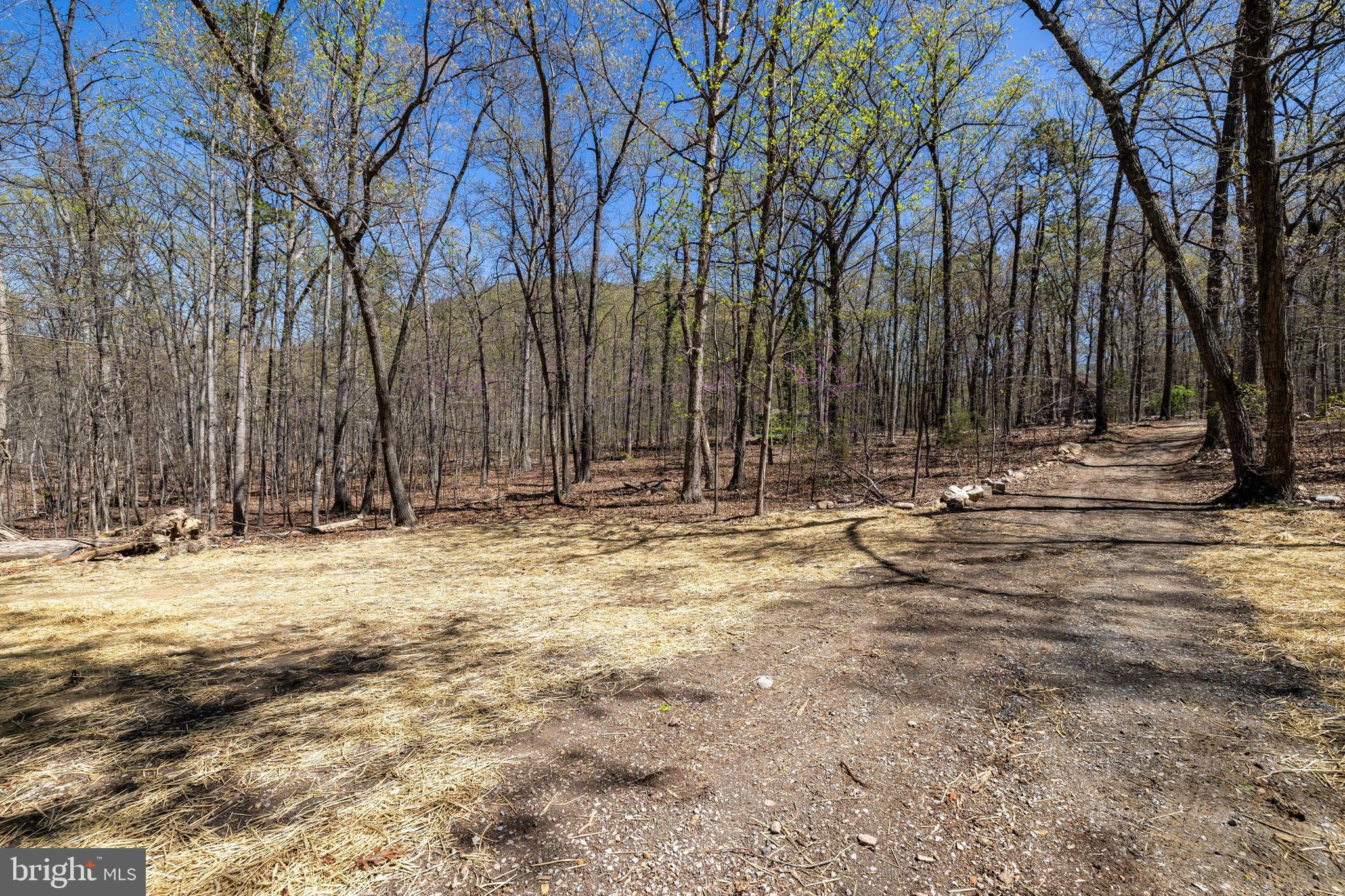 SHENANDOAH GAP - Land