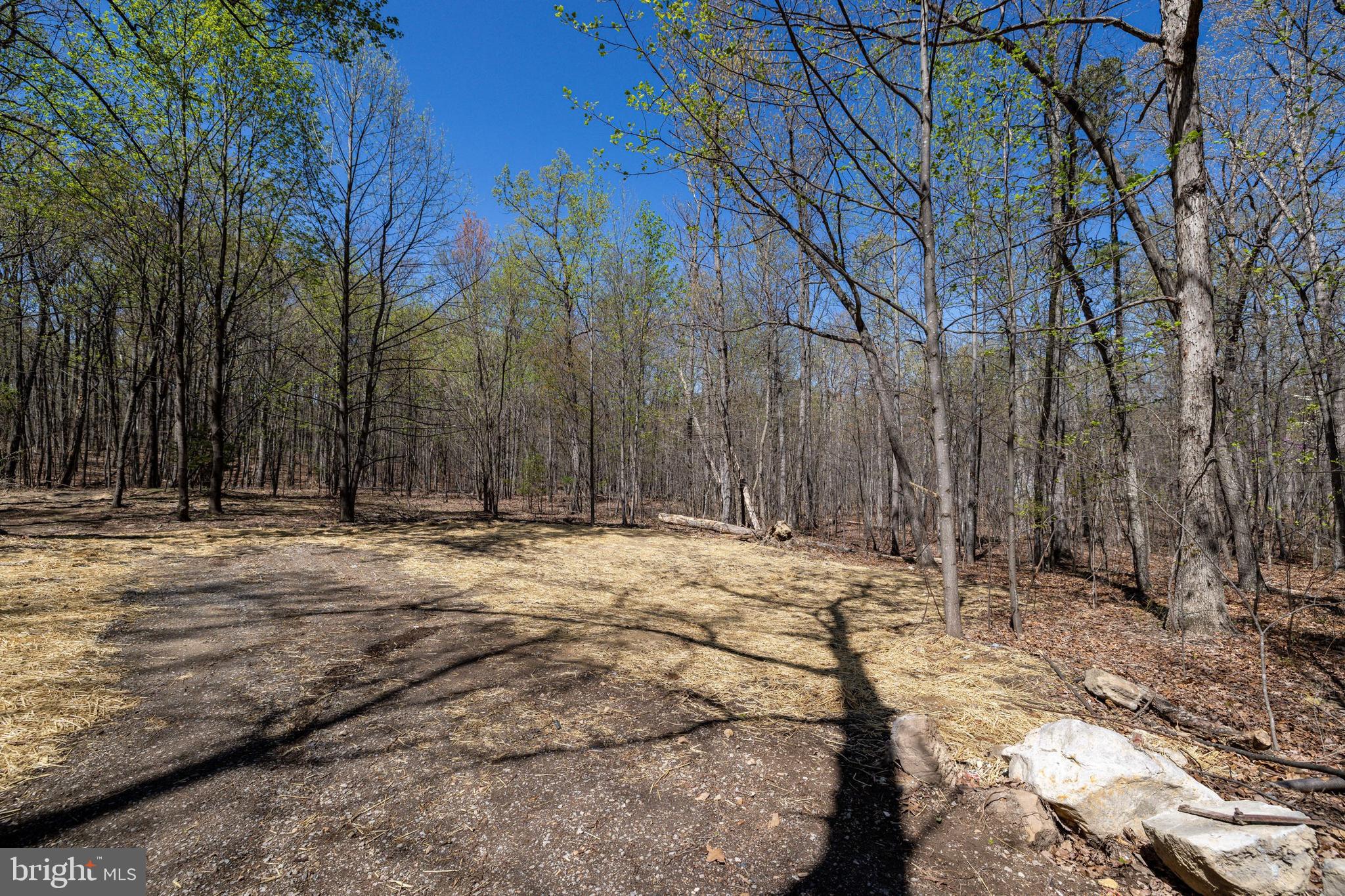 SHENANDOAH GAP - Land