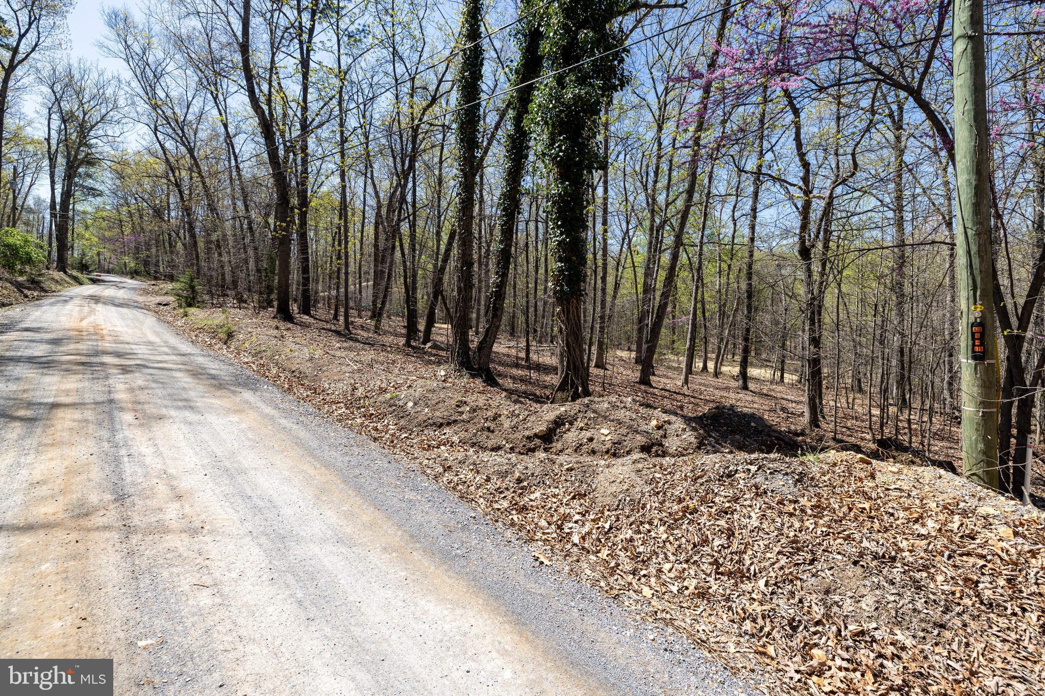 SHENANDOAH GAP - Land