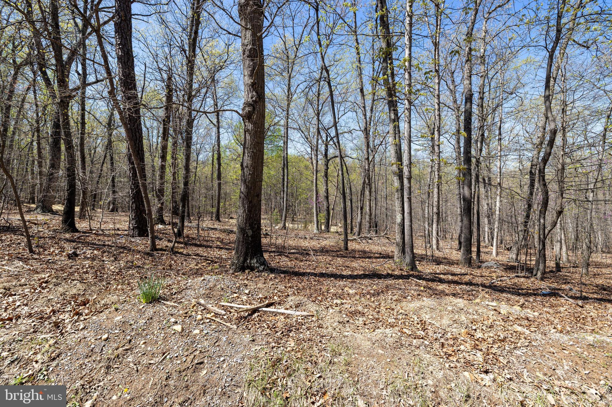 SHENANDOAH GAP - Land