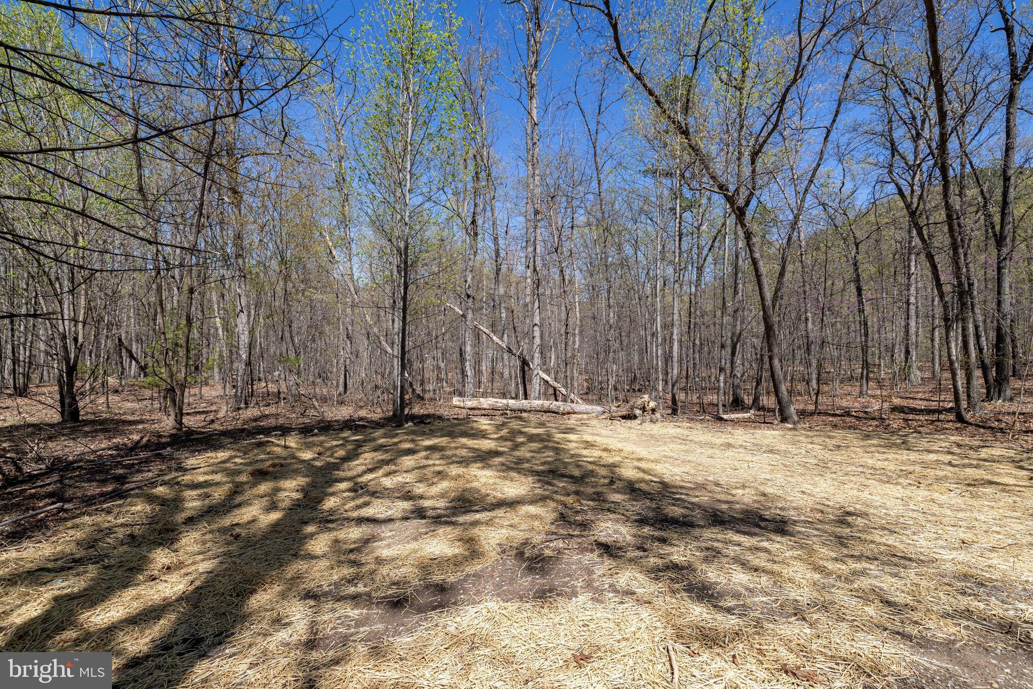 SHENANDOAH GAP - Land