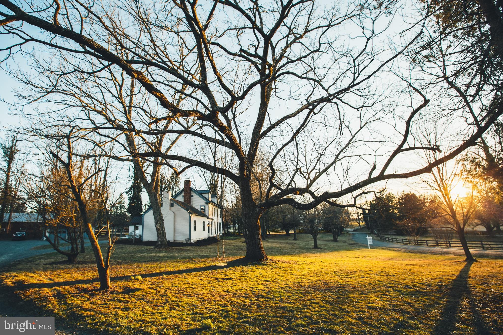 PAEONIAN SPRINGS - Residential