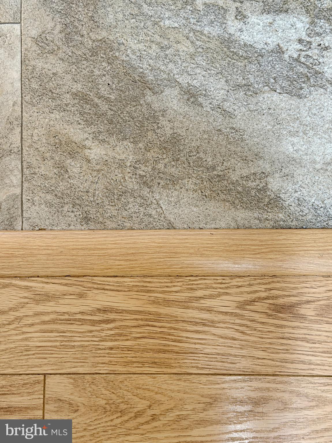 COBB ISLAND - Residential