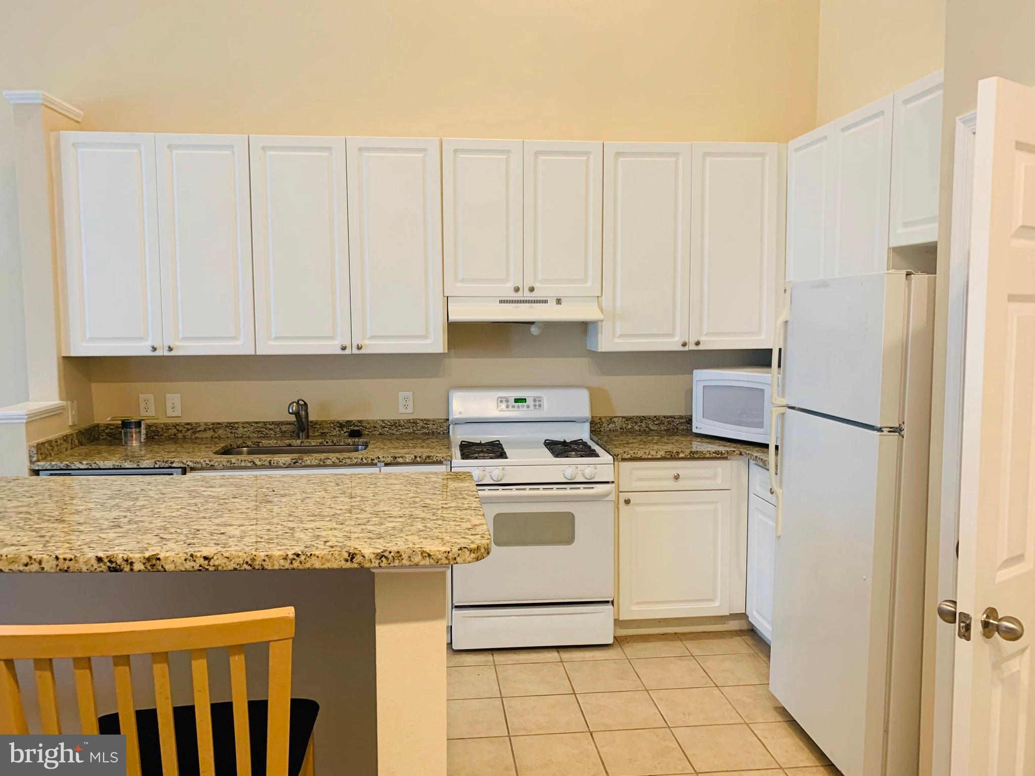 FITZ AT ROCKVILLE TOWN C - Residential Lease