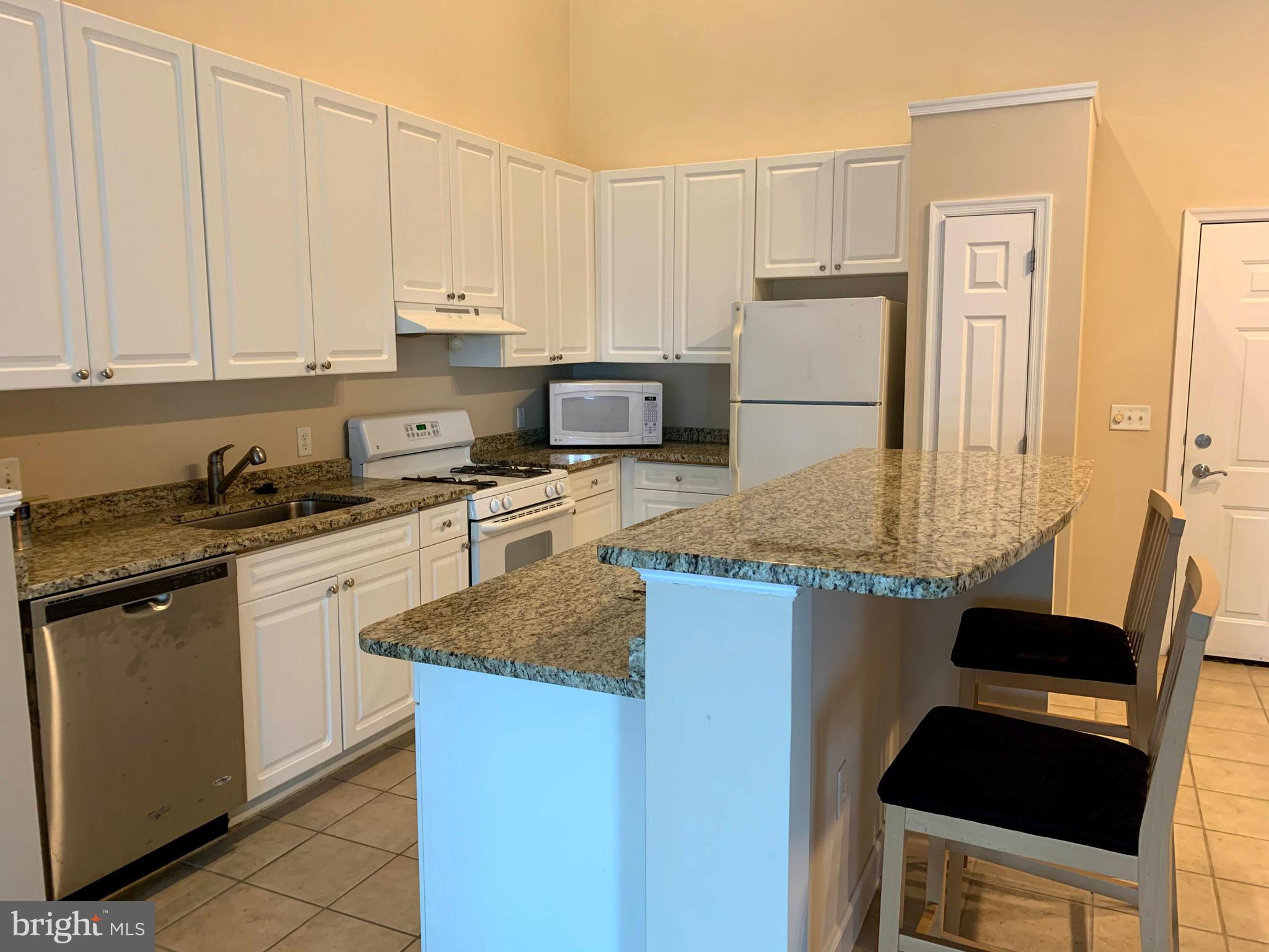 FITZ AT ROCKVILLE TOWN C - Residential Lease