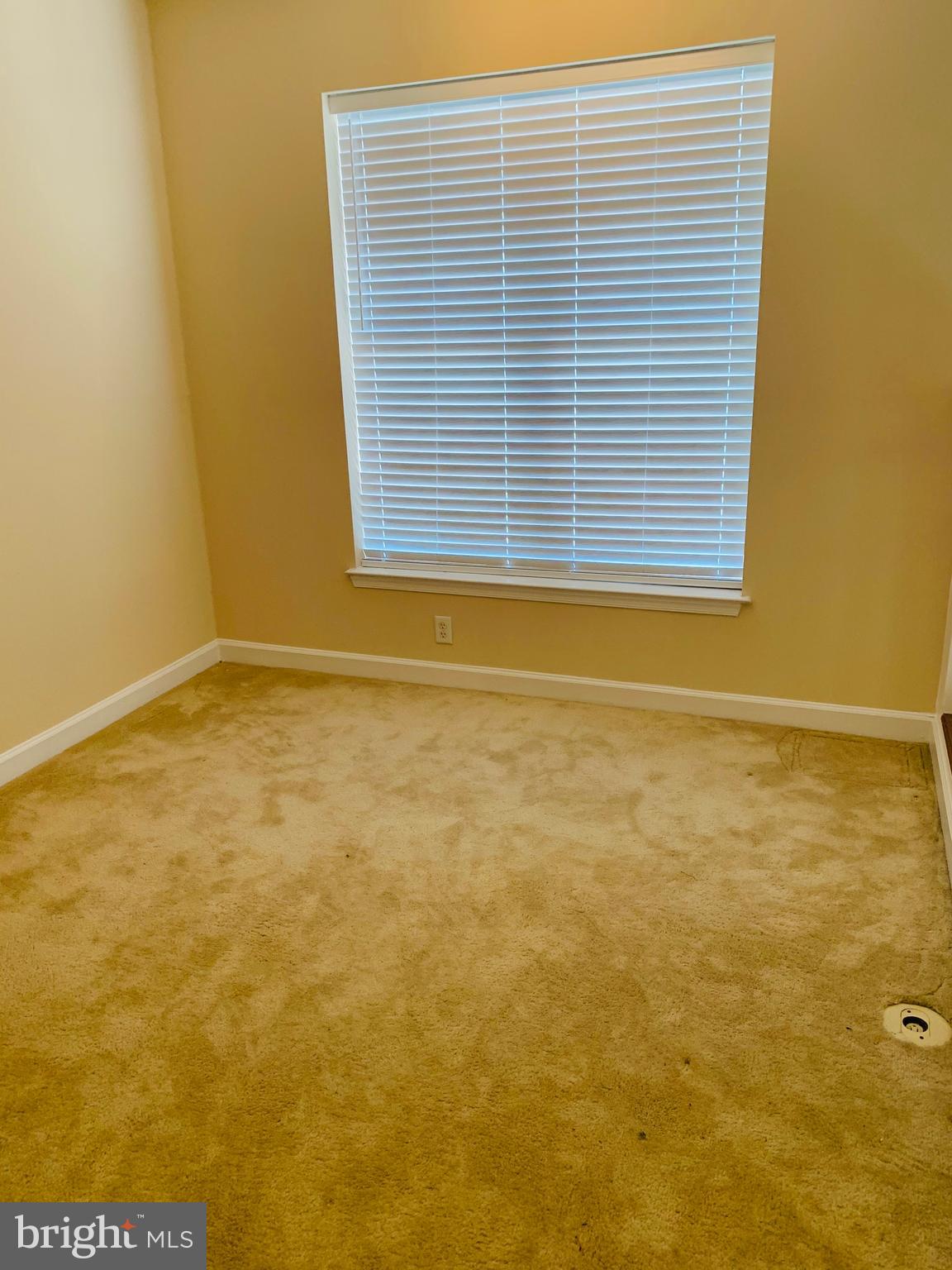 FITZ AT ROCKVILLE TOWN C - Residential Lease