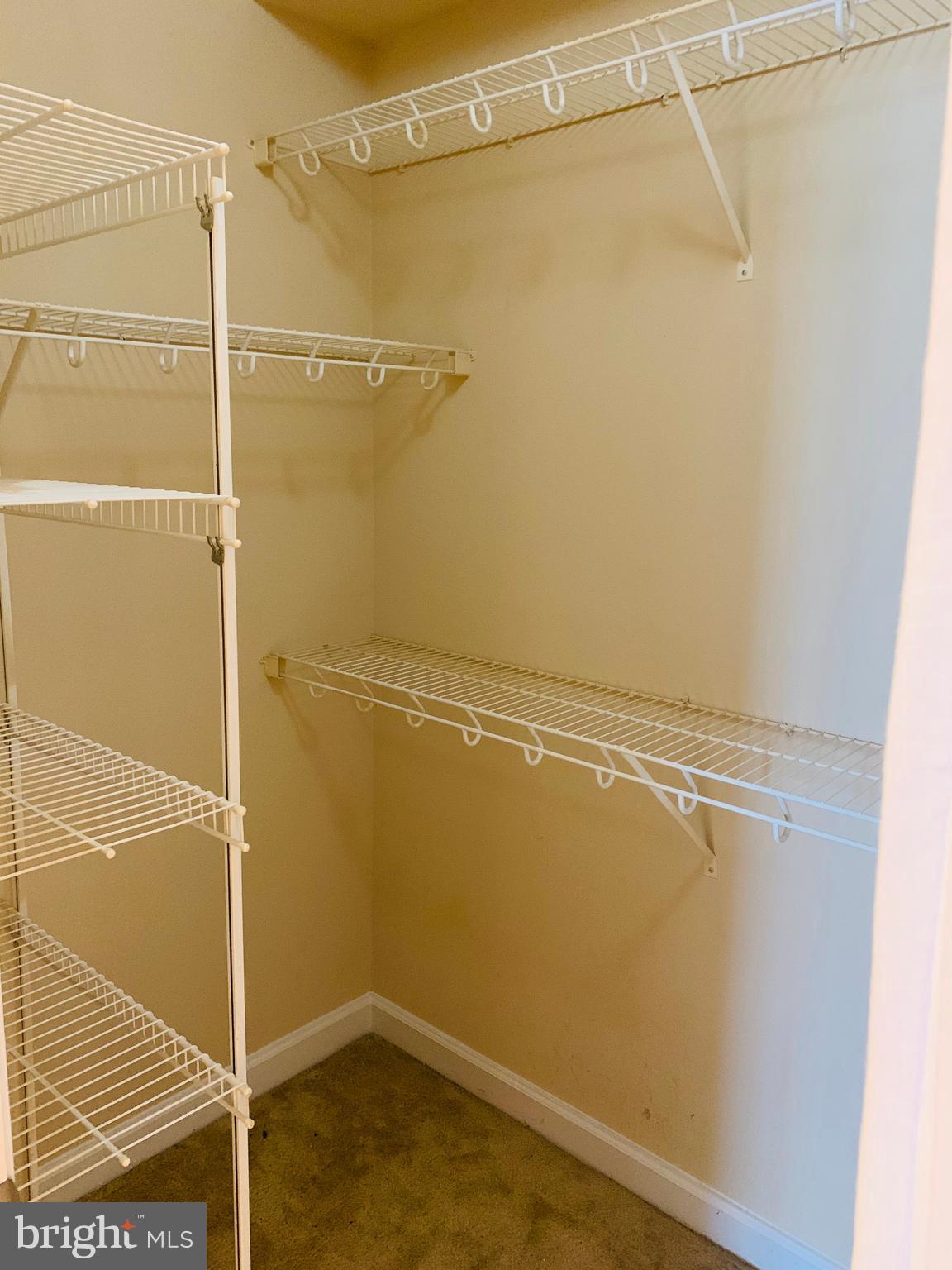 FITZ AT ROCKVILLE TOWN C - Residential Lease