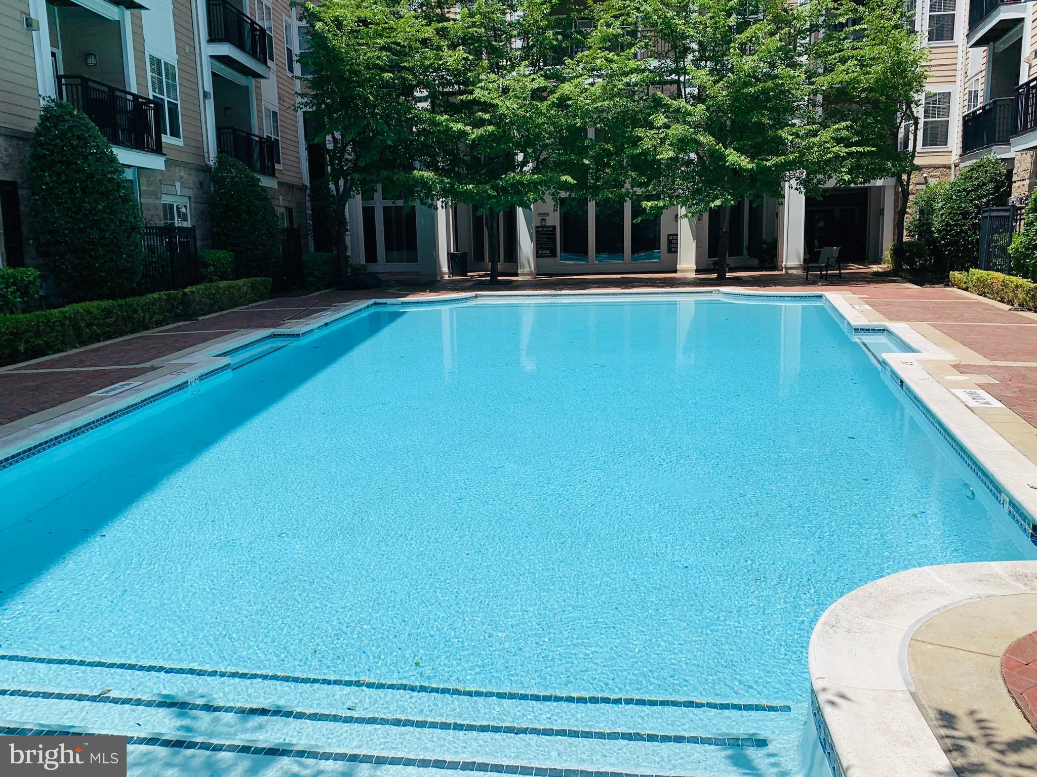 FITZ AT ROCKVILLE TOWN C - Residential Lease