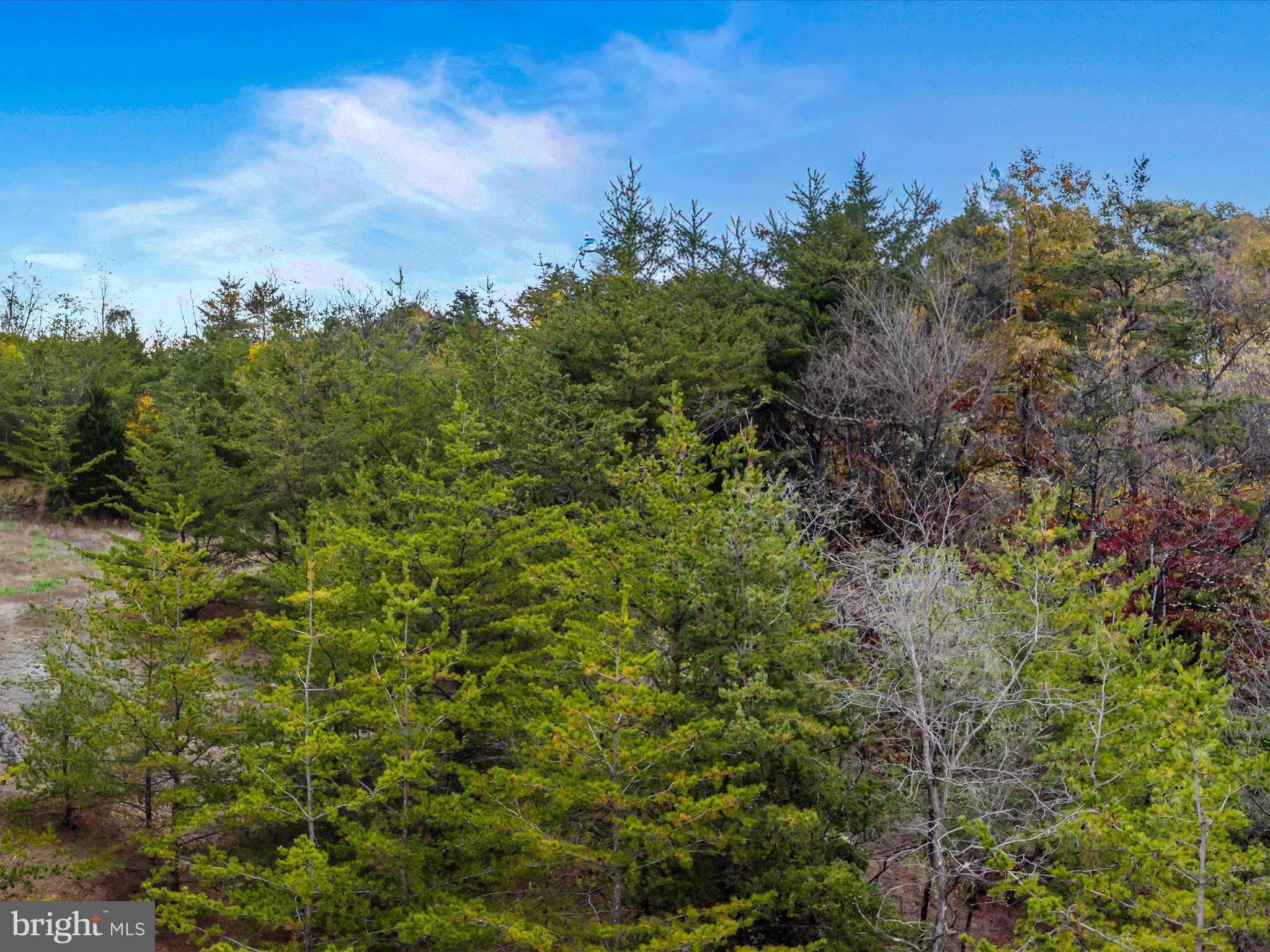 NONE AVAILABLE - Land